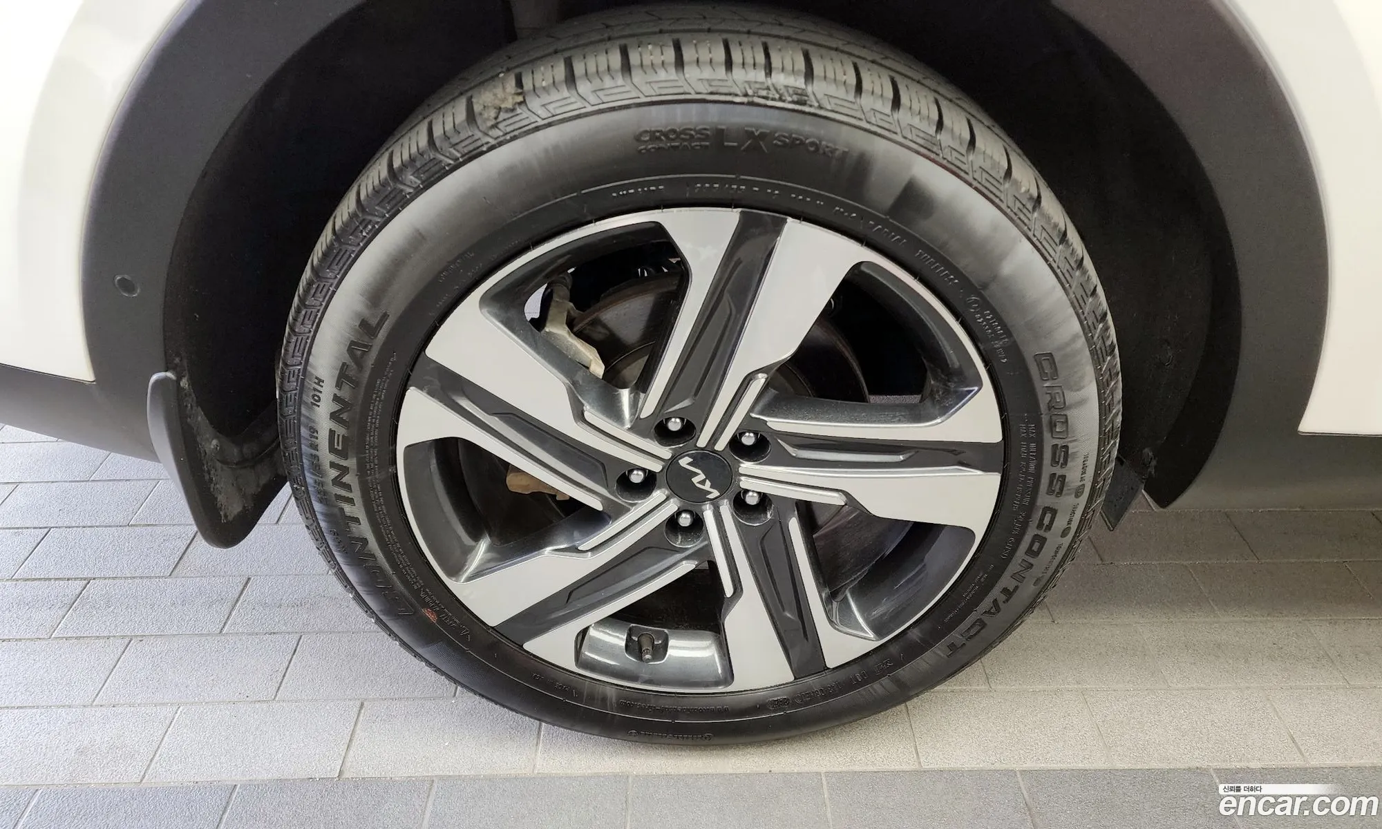 Korex Auto Trade - фотография 11705122