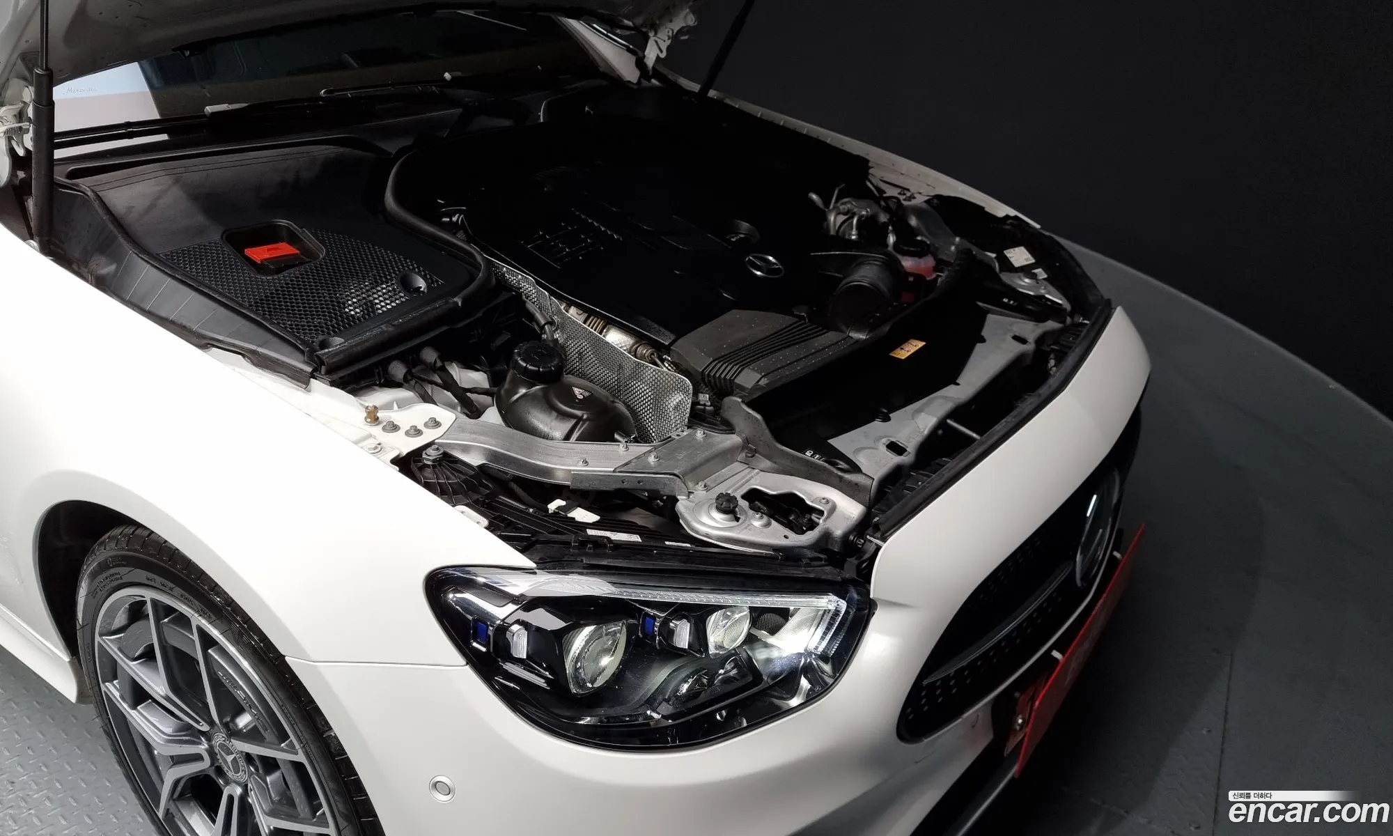 Korex Auto Trade - фотография 11190646