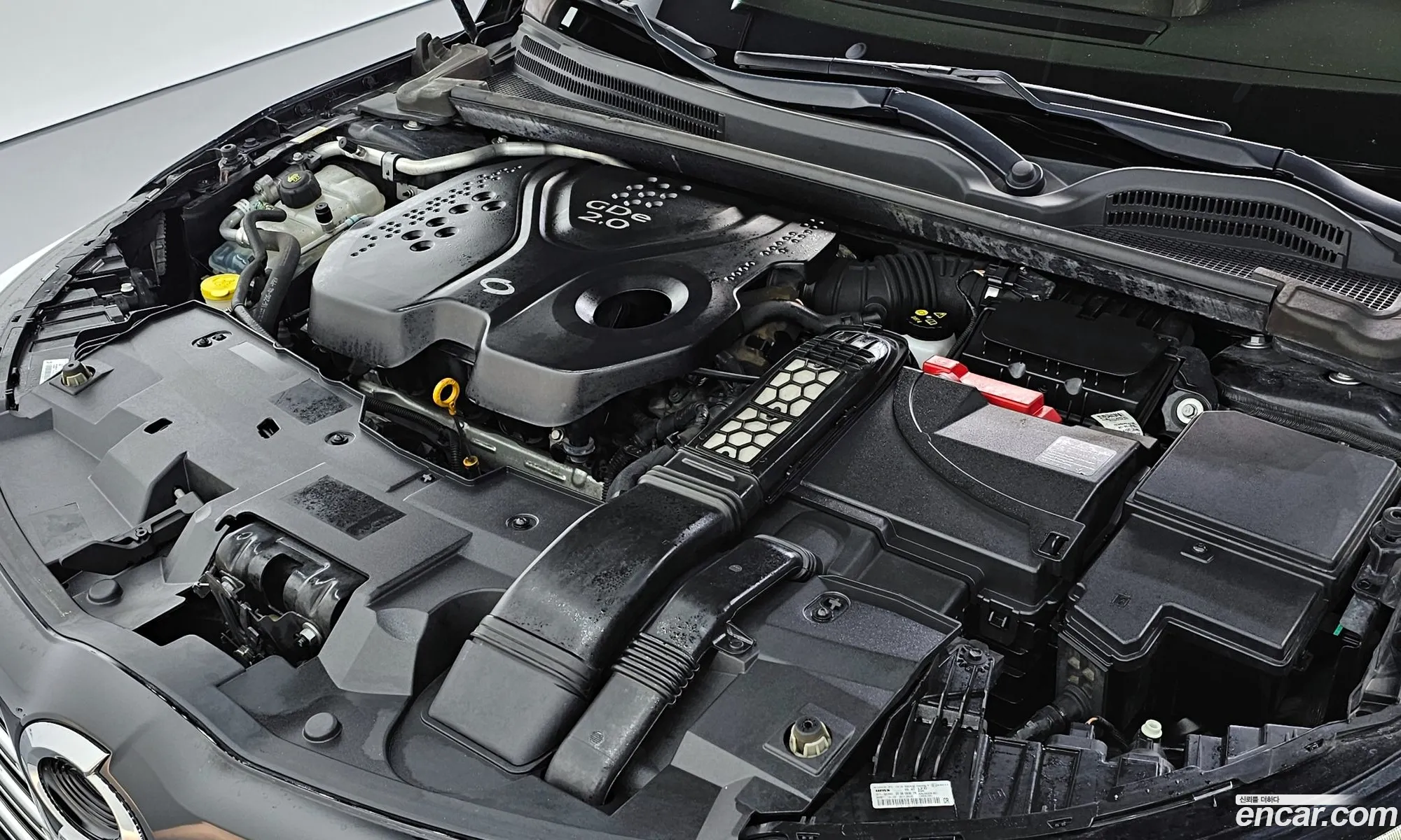 Korex Auto Trade - фотография 11314523