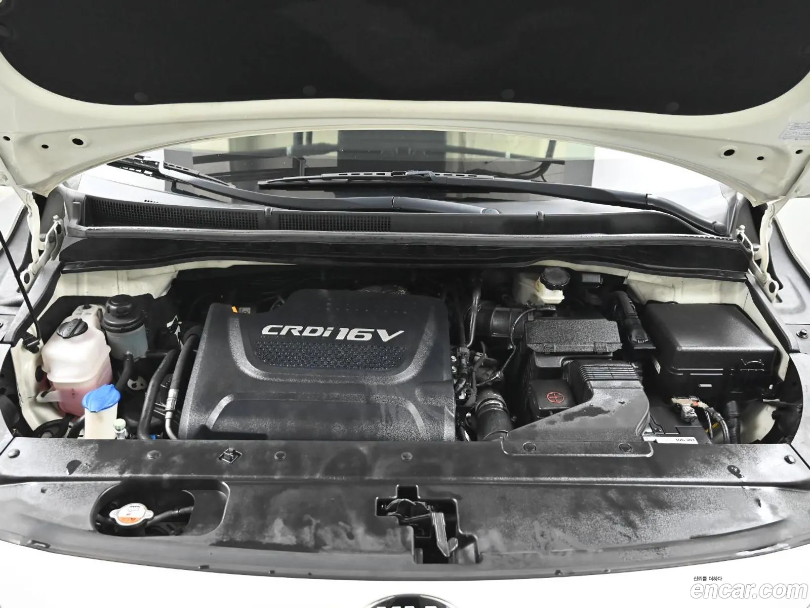 Korex Auto Trade - фотография 11697477