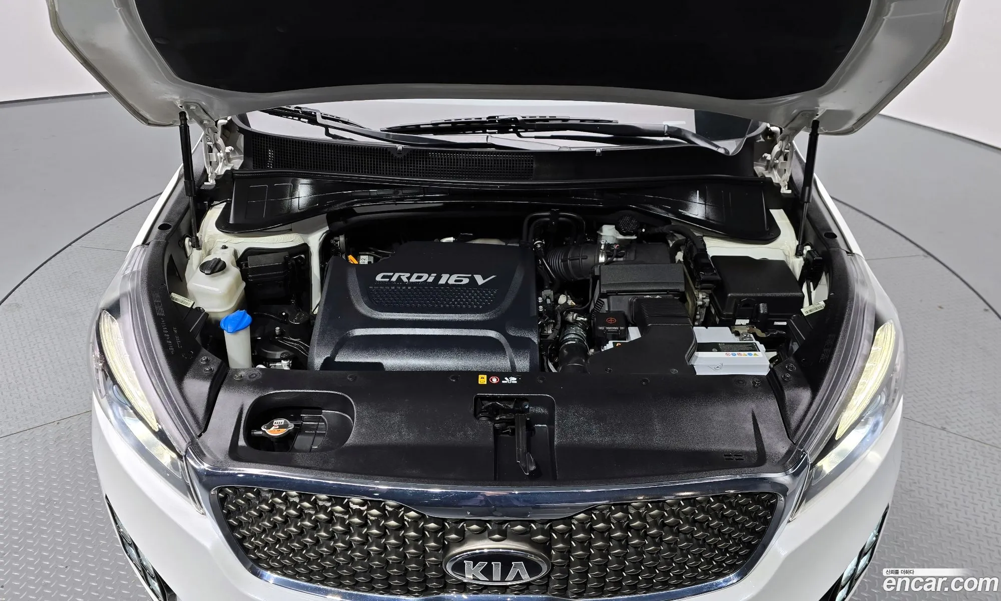 Korex Auto Trade - фотография 5916606