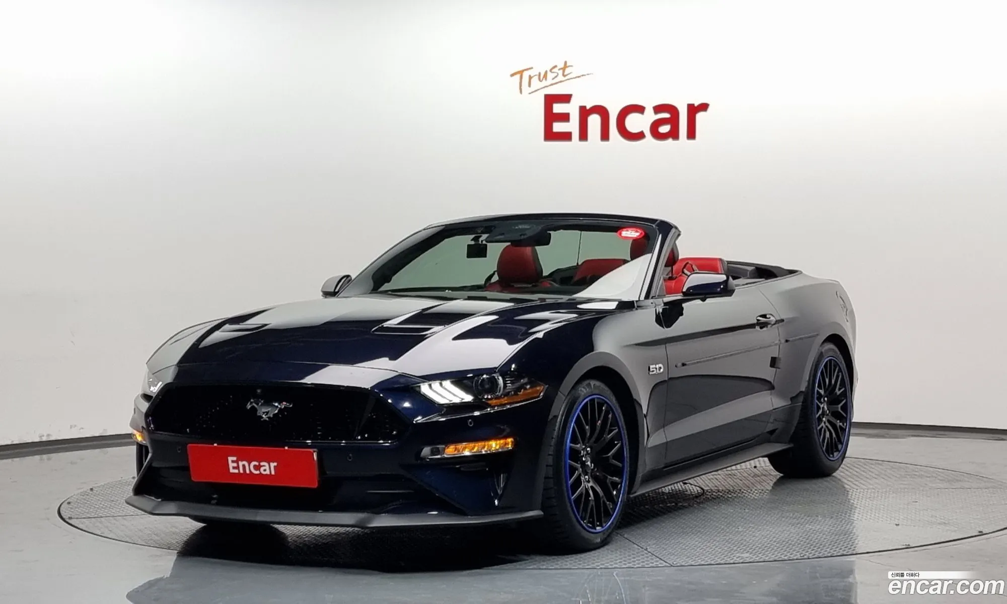 Mustang Gt Converter Blue - фотография 3491465