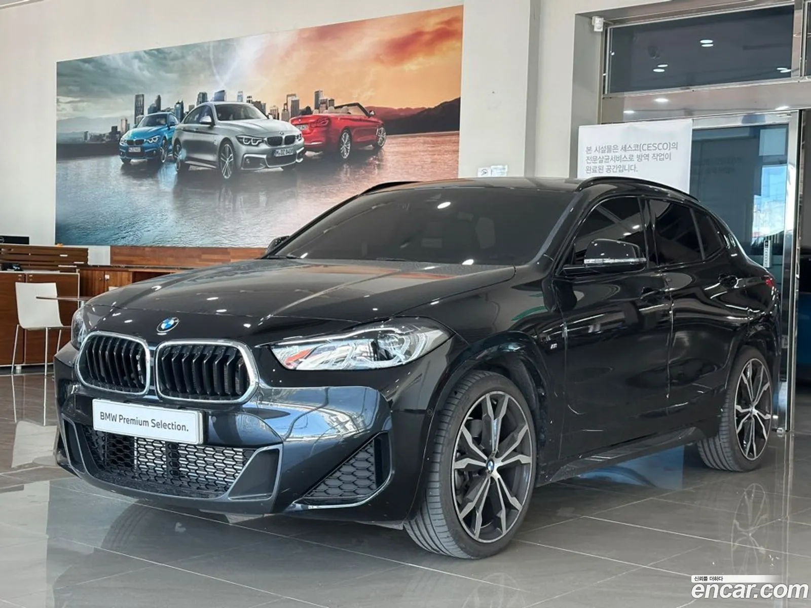 Korex Auto Trade - фотография 12481371