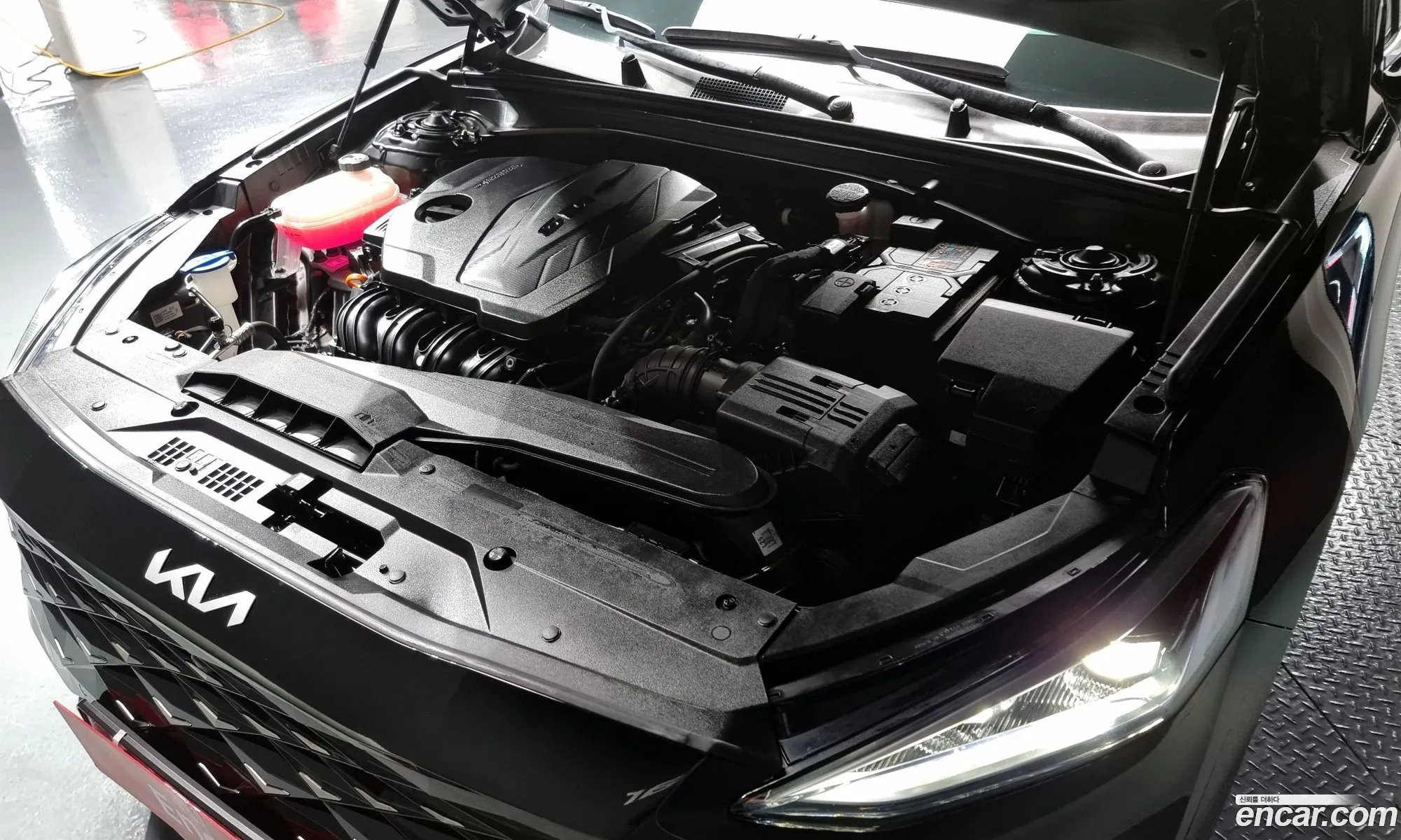 Korex Auto Trade - фотография 946472