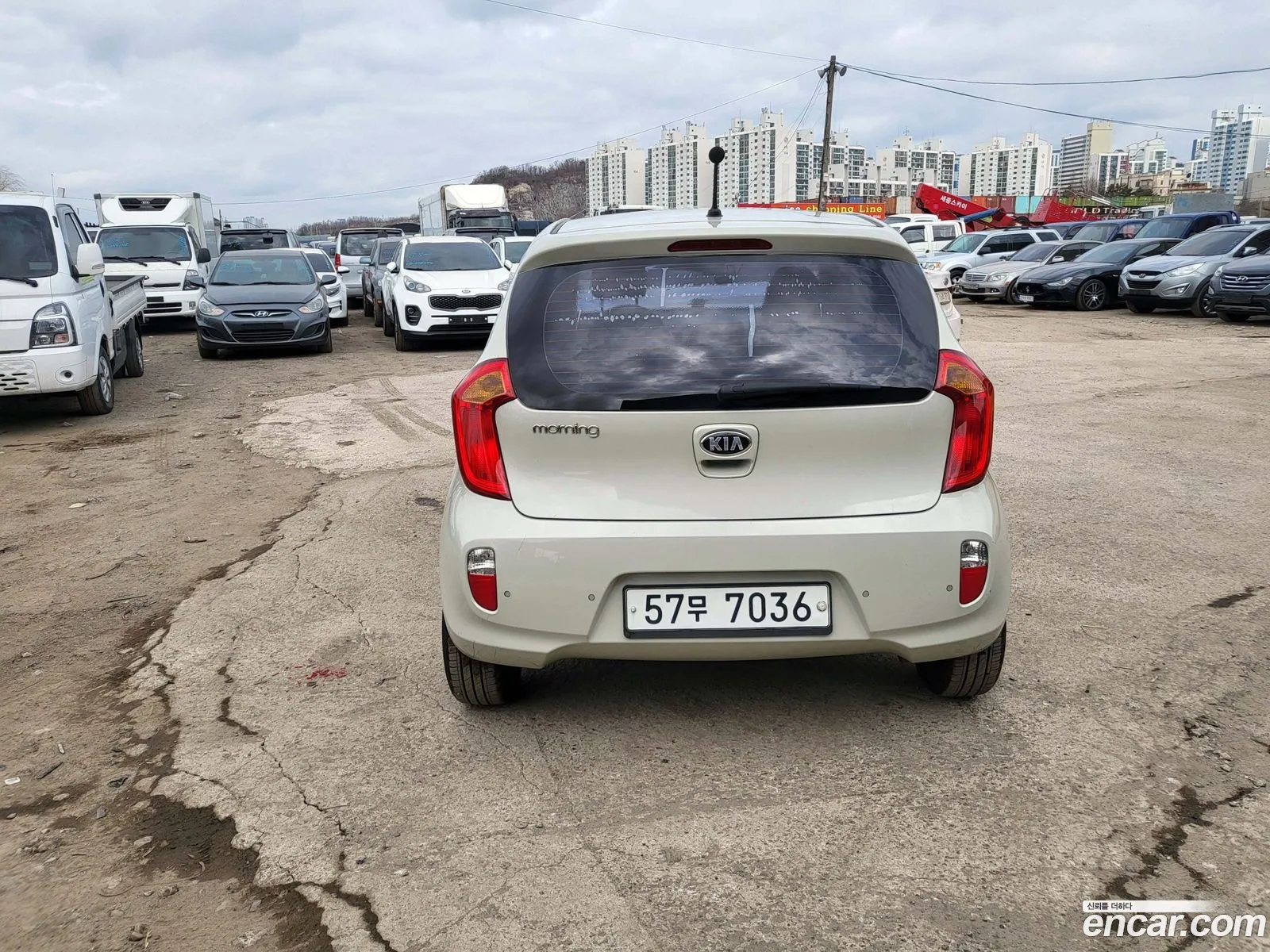 Korex Auto Trade - фотография 11611530