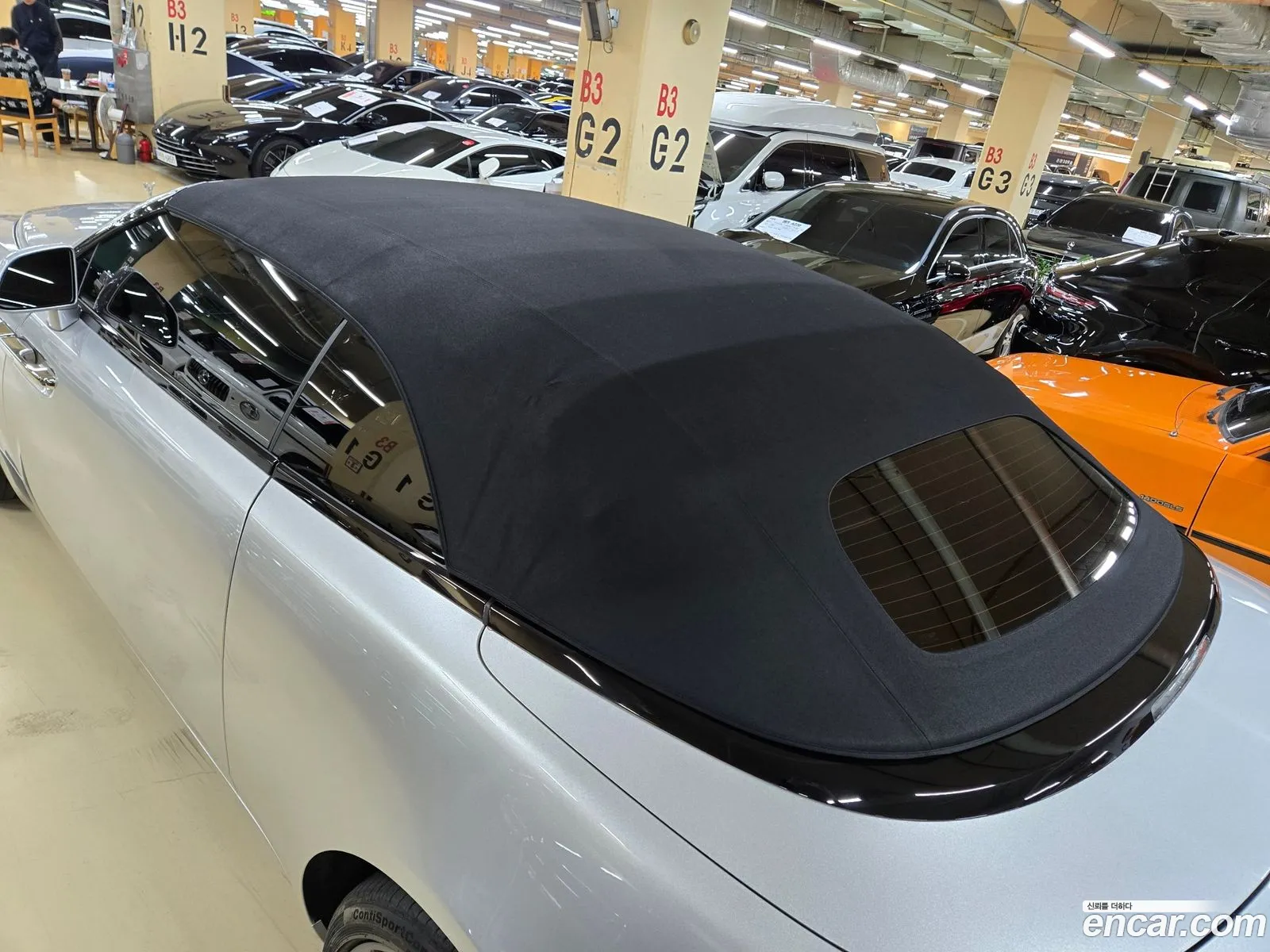 Korex Auto Trade - фотография 482327