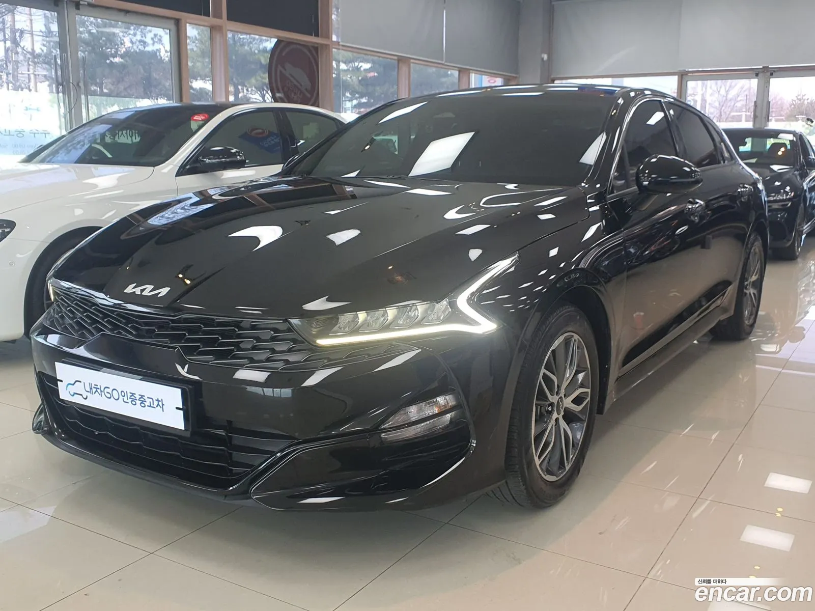 K5 3Rd Generation 20 Lpi For Rental Trendy - фотография 12401031
