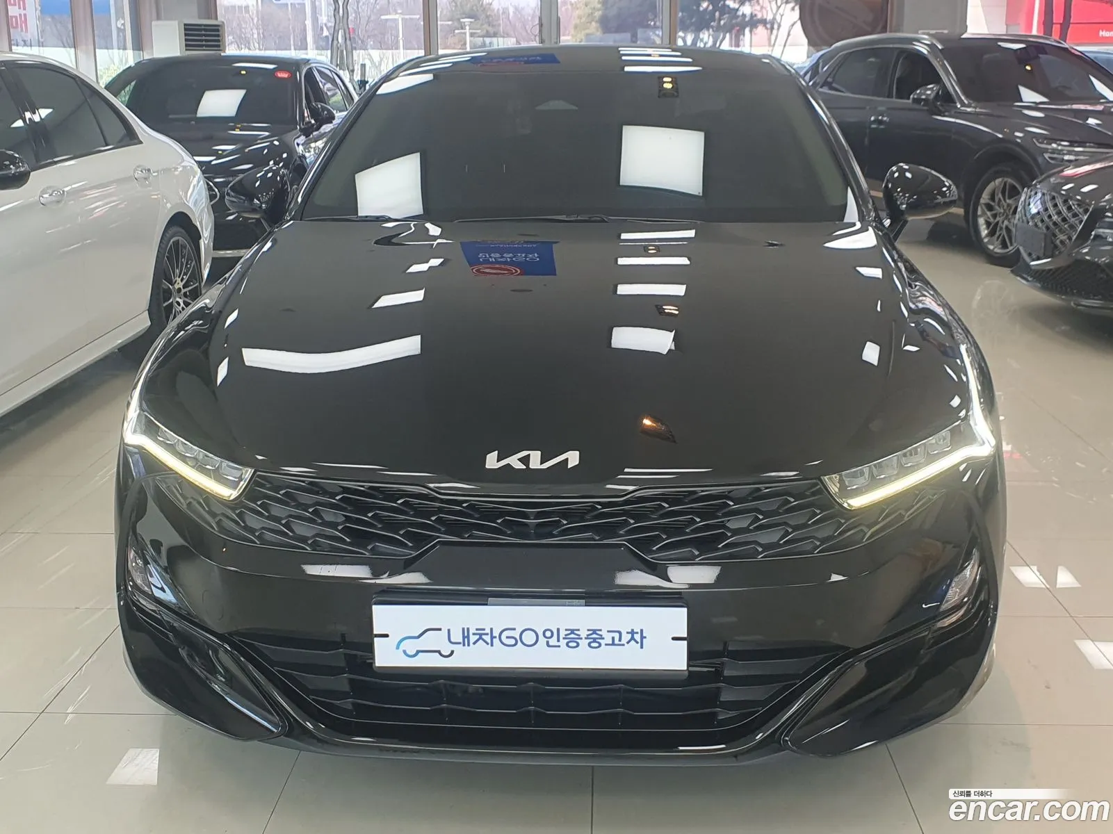 Korex Auto Trade - фотография 12404657