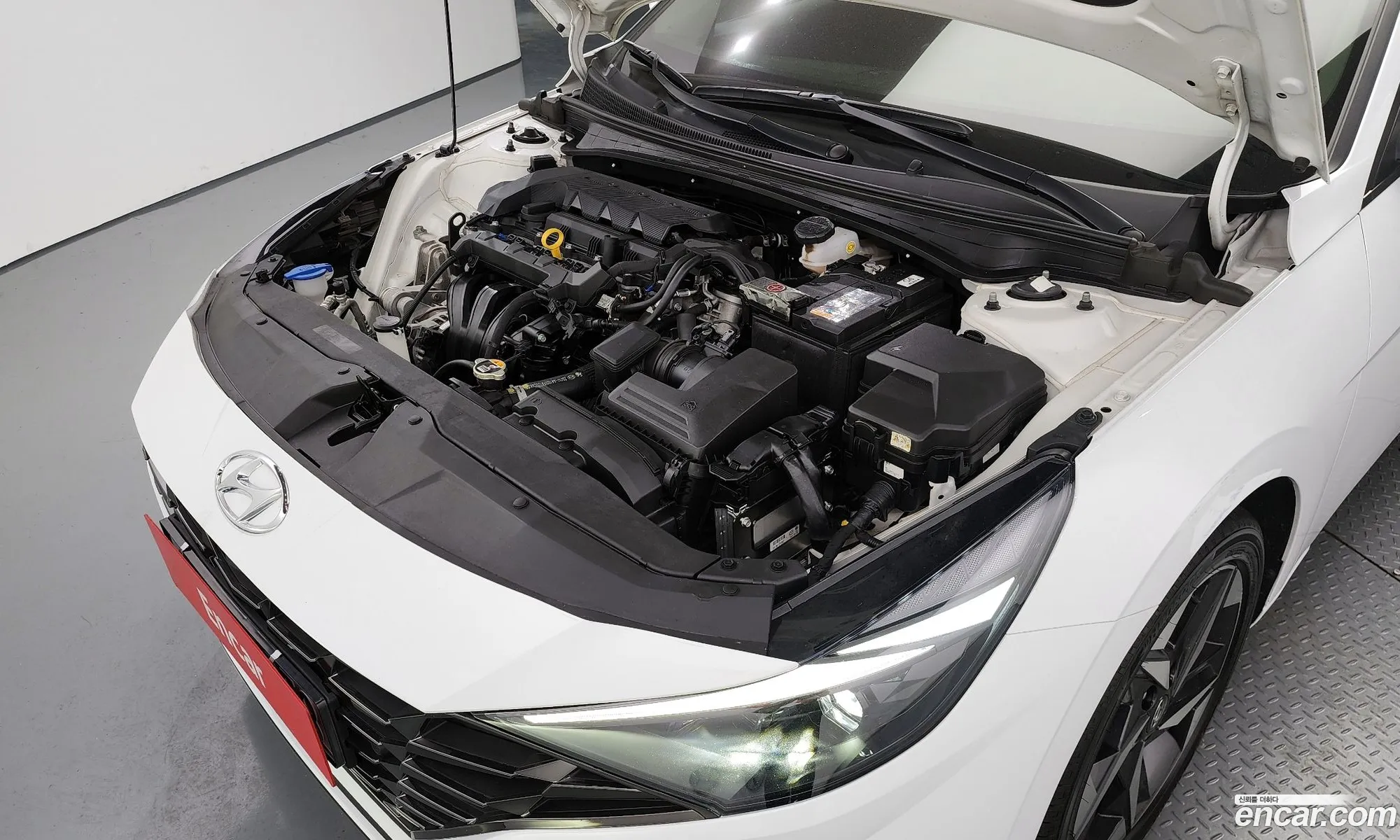 Korex Auto Trade - фотография 14930942