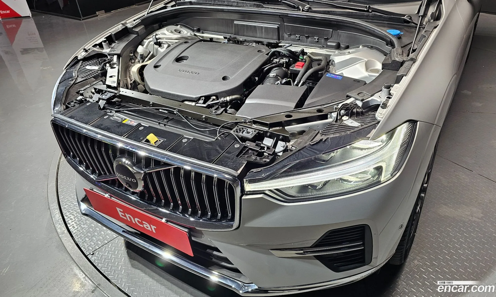 Korex Auto Trade - фотография 13526699