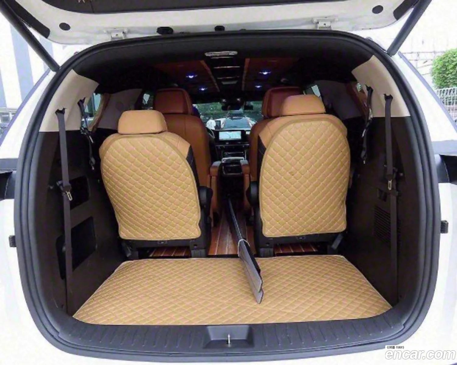 Carnival 4Th Generation Gasoline 9 -Seater Signature - фотография 12401044