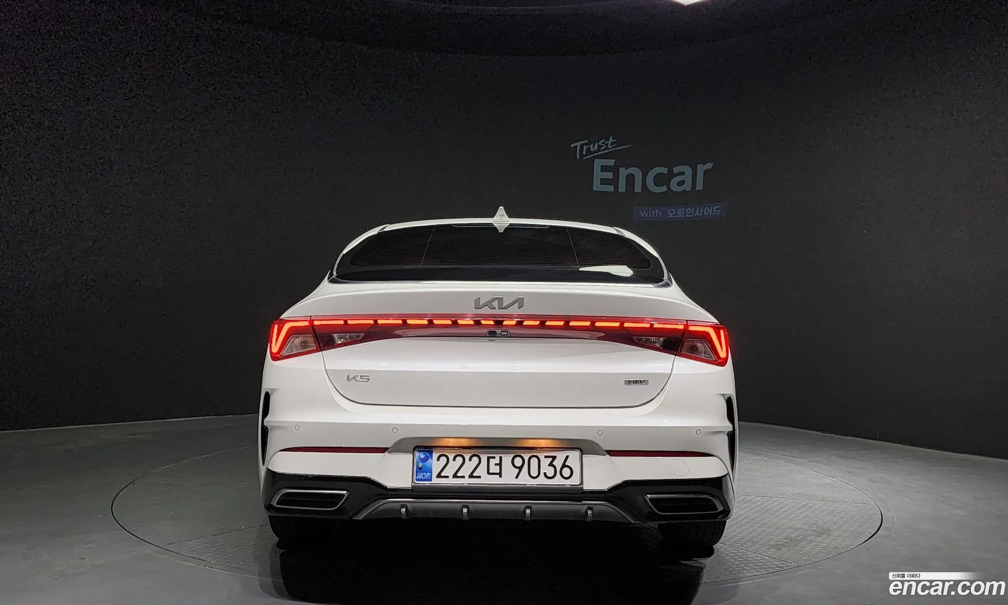 Korex Auto Trade - фотография 11797425