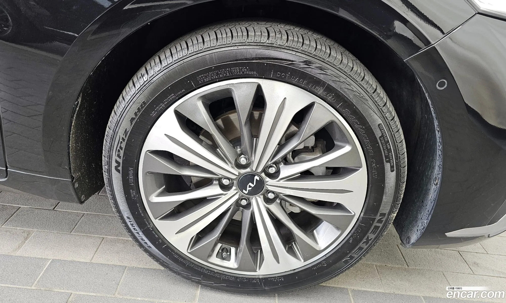 Korex Auto Trade - фотография 11931691