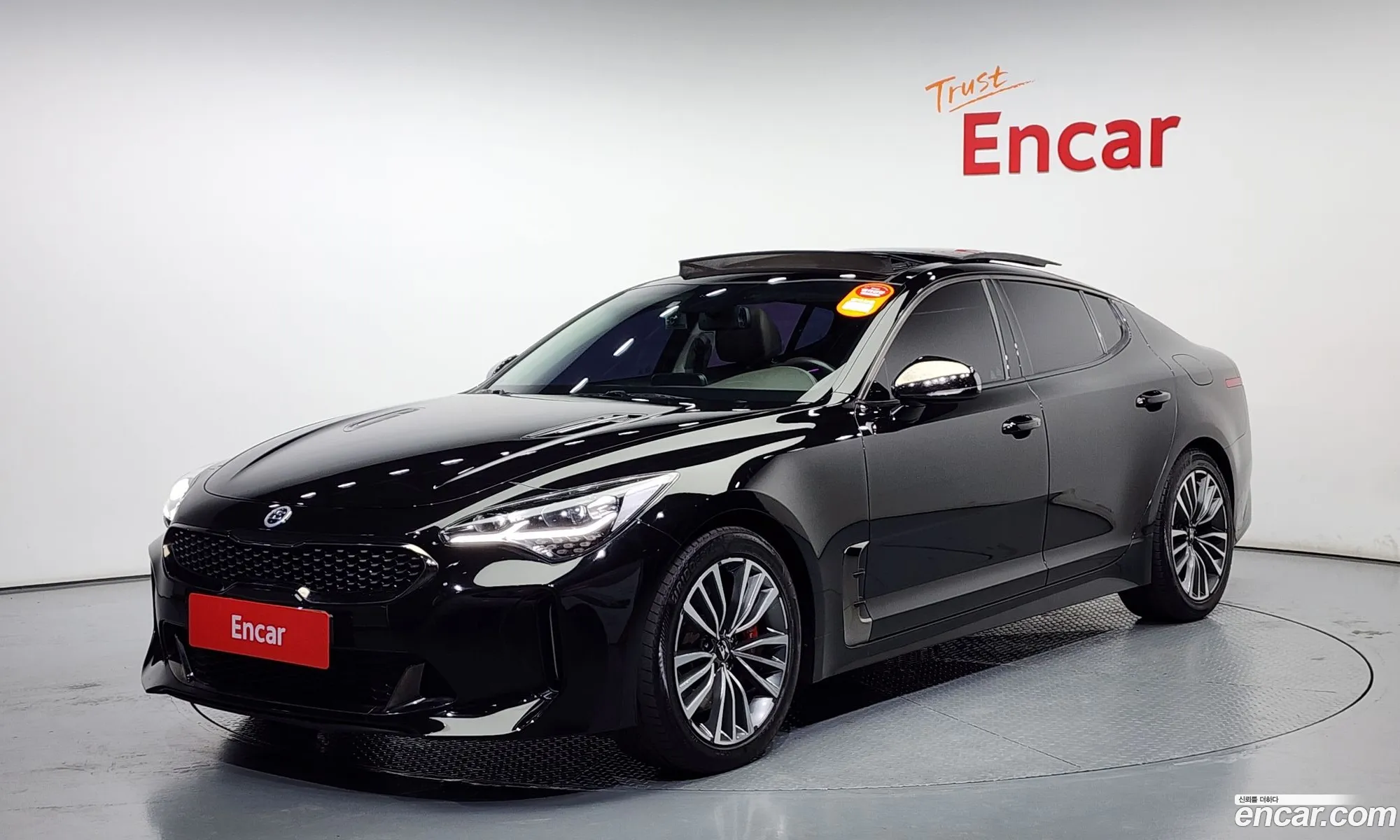 Stinger 20 Turbo 2Wd Dream Edition - фотография 11856358