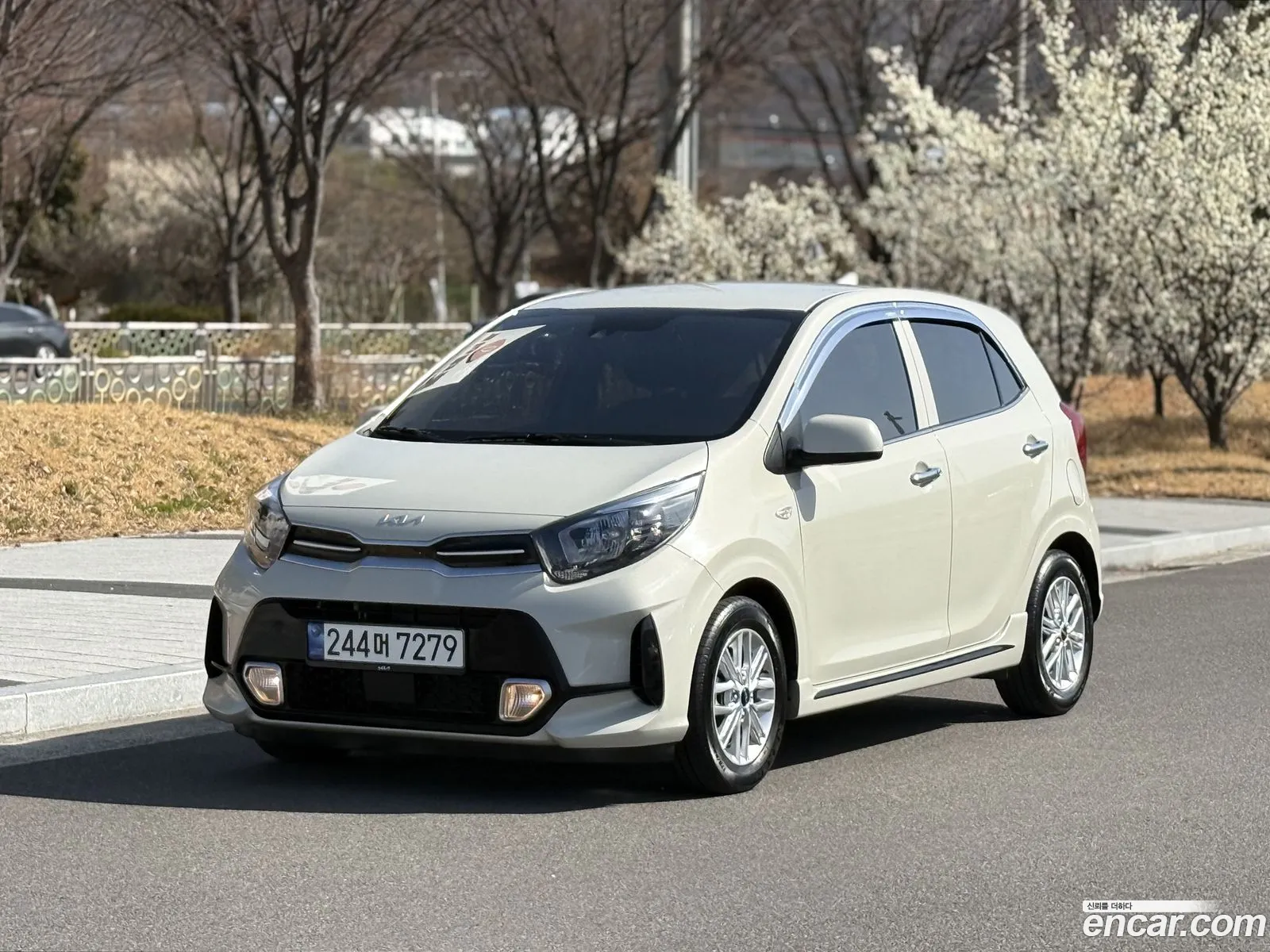 Korex Auto Trade - фотография 11823166