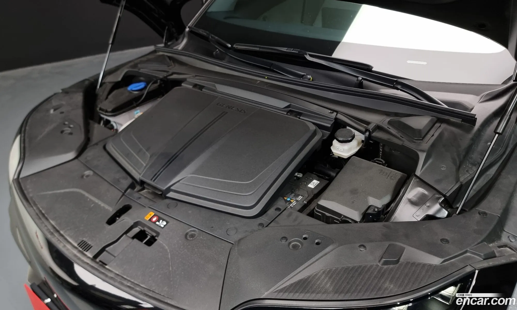 Korex Auto Trade - фотография 12553466