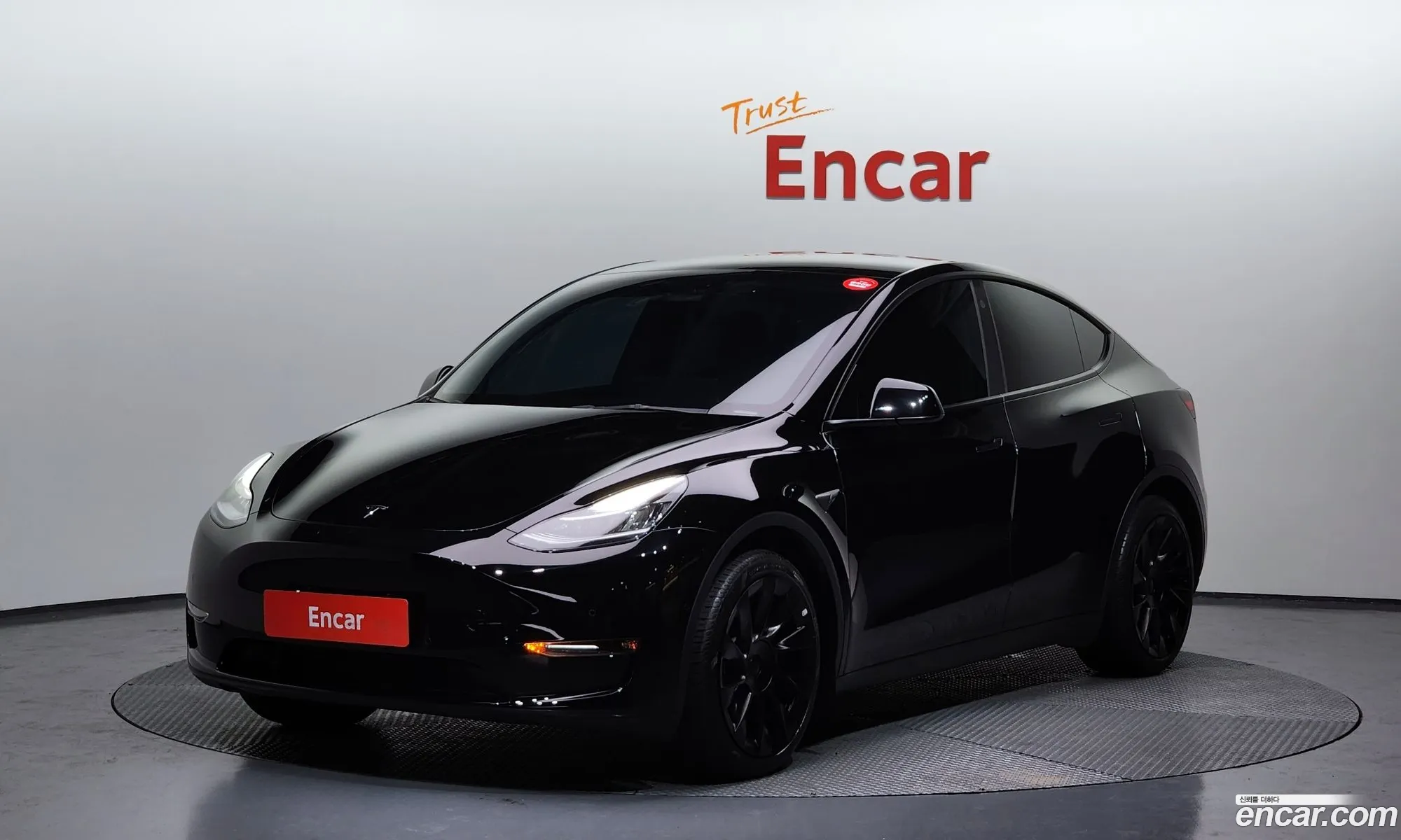 Model Y Long Range - фотография 3509234