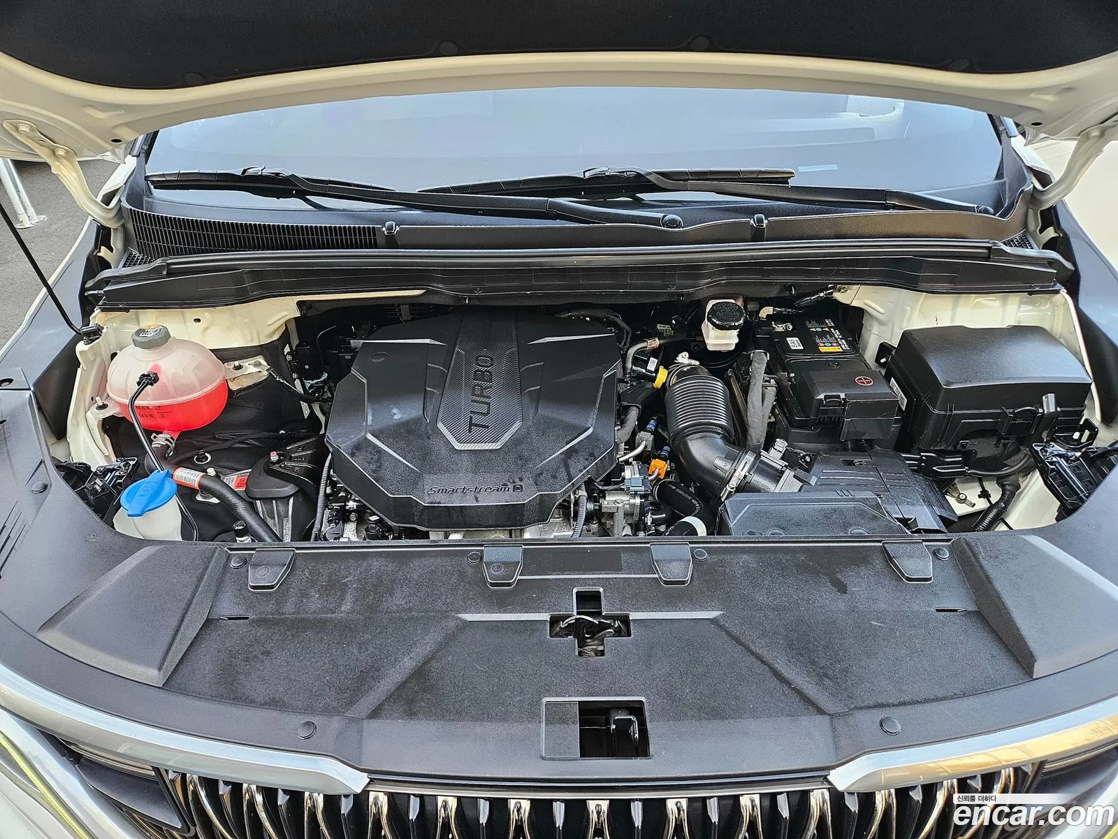 Korex Auto Trade - фотография 11936582