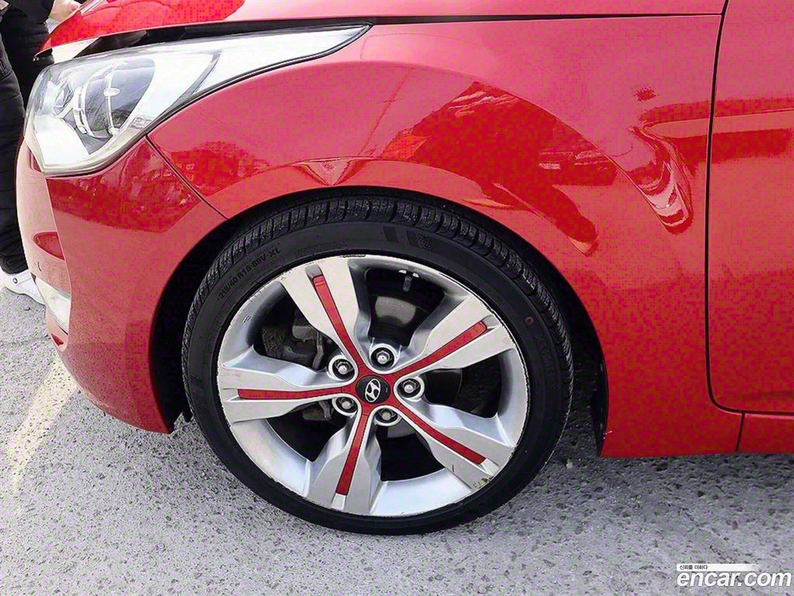 Veloster Pyl - фотография 15559684