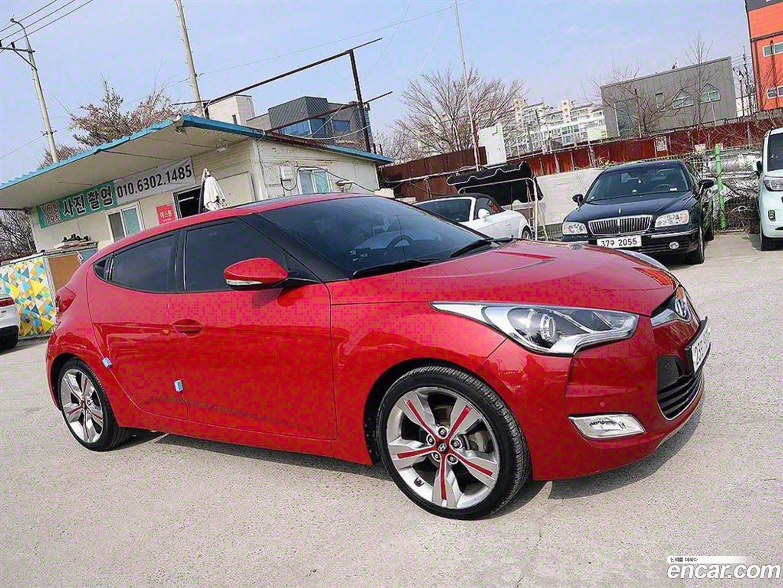 Veloster Pyl - фотография 15559682
