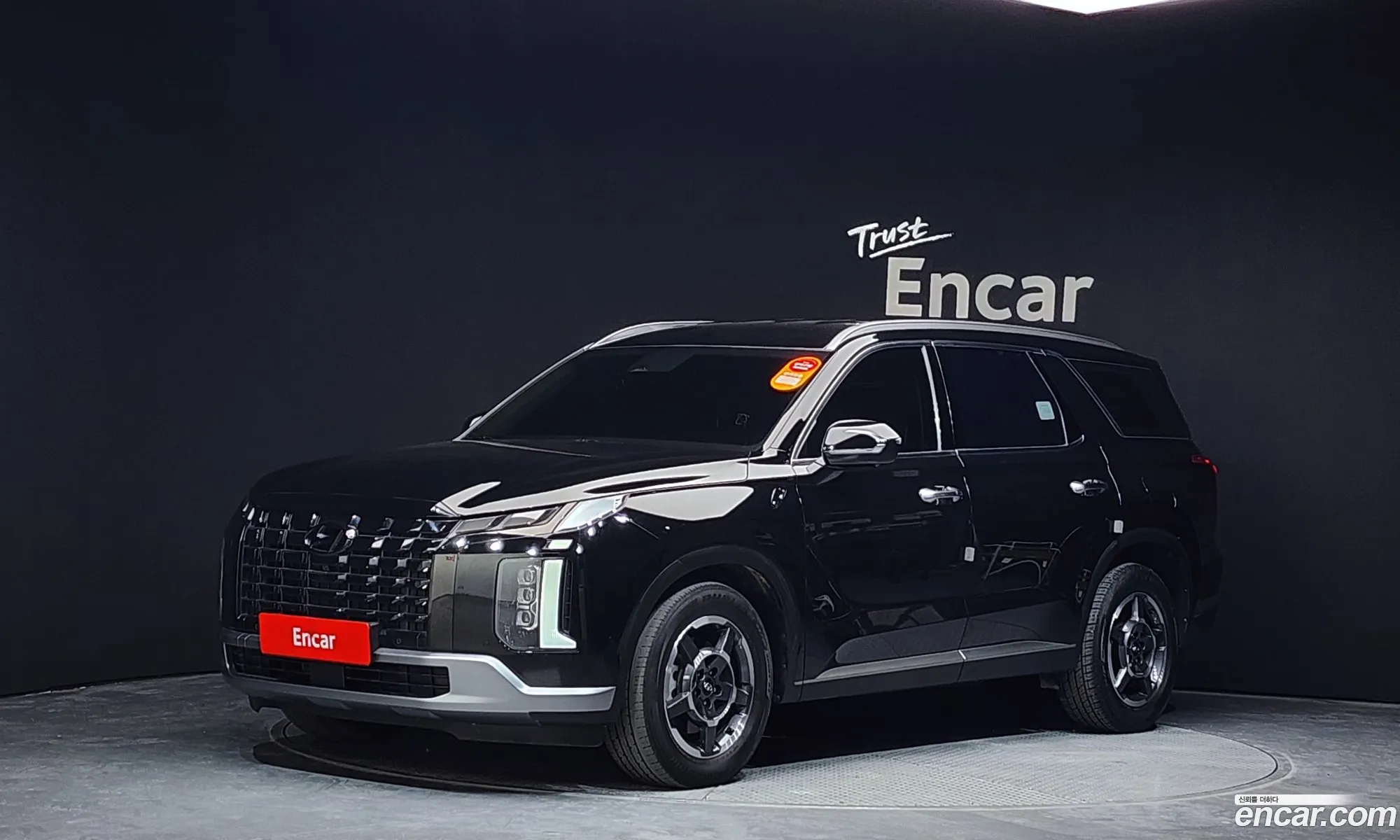 The New Palisade Gasoline 38 4Wd Exclusive - фотография 930214