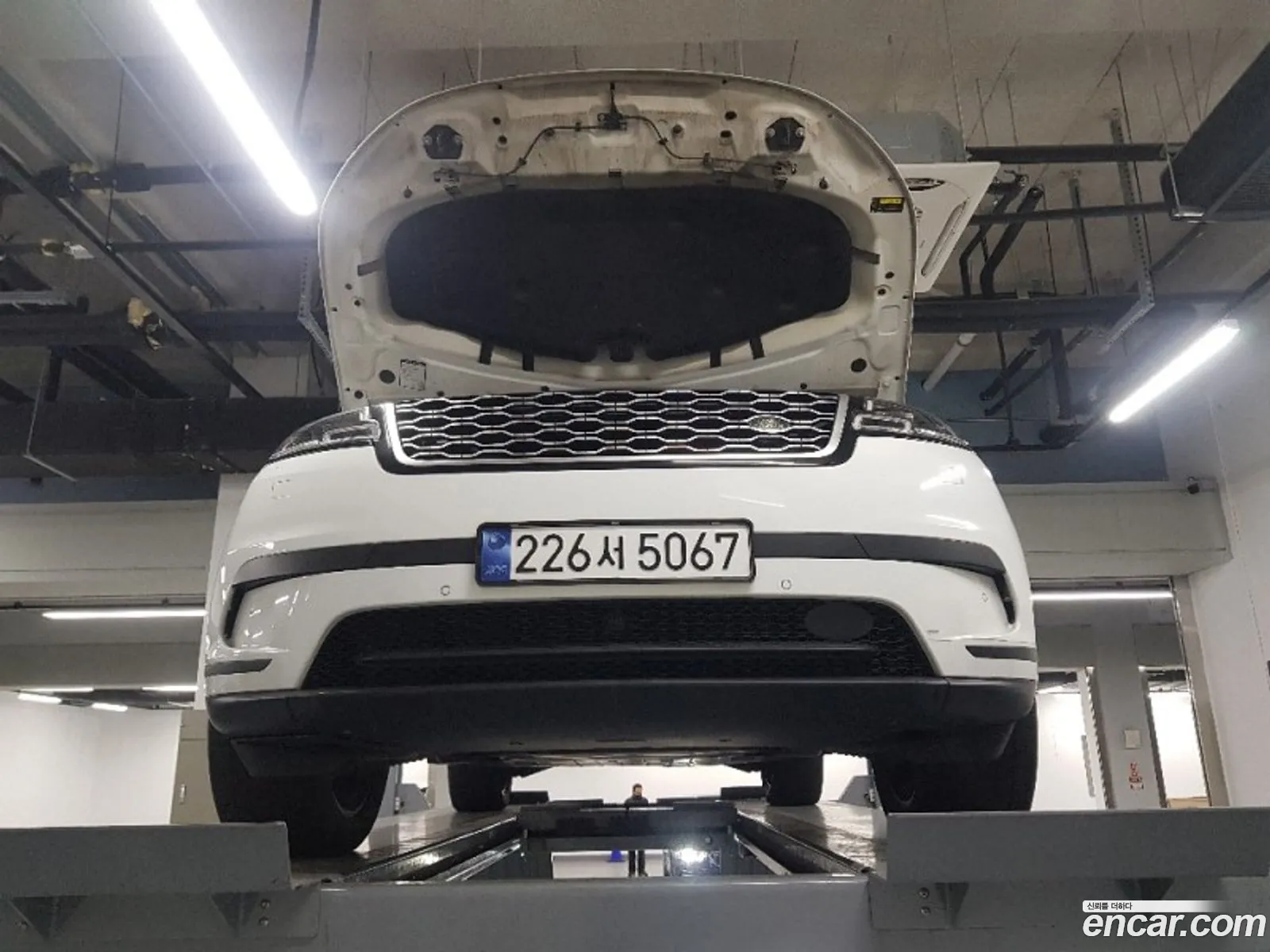 Range Rover Bella 20 D240 Se - фотография 3720332