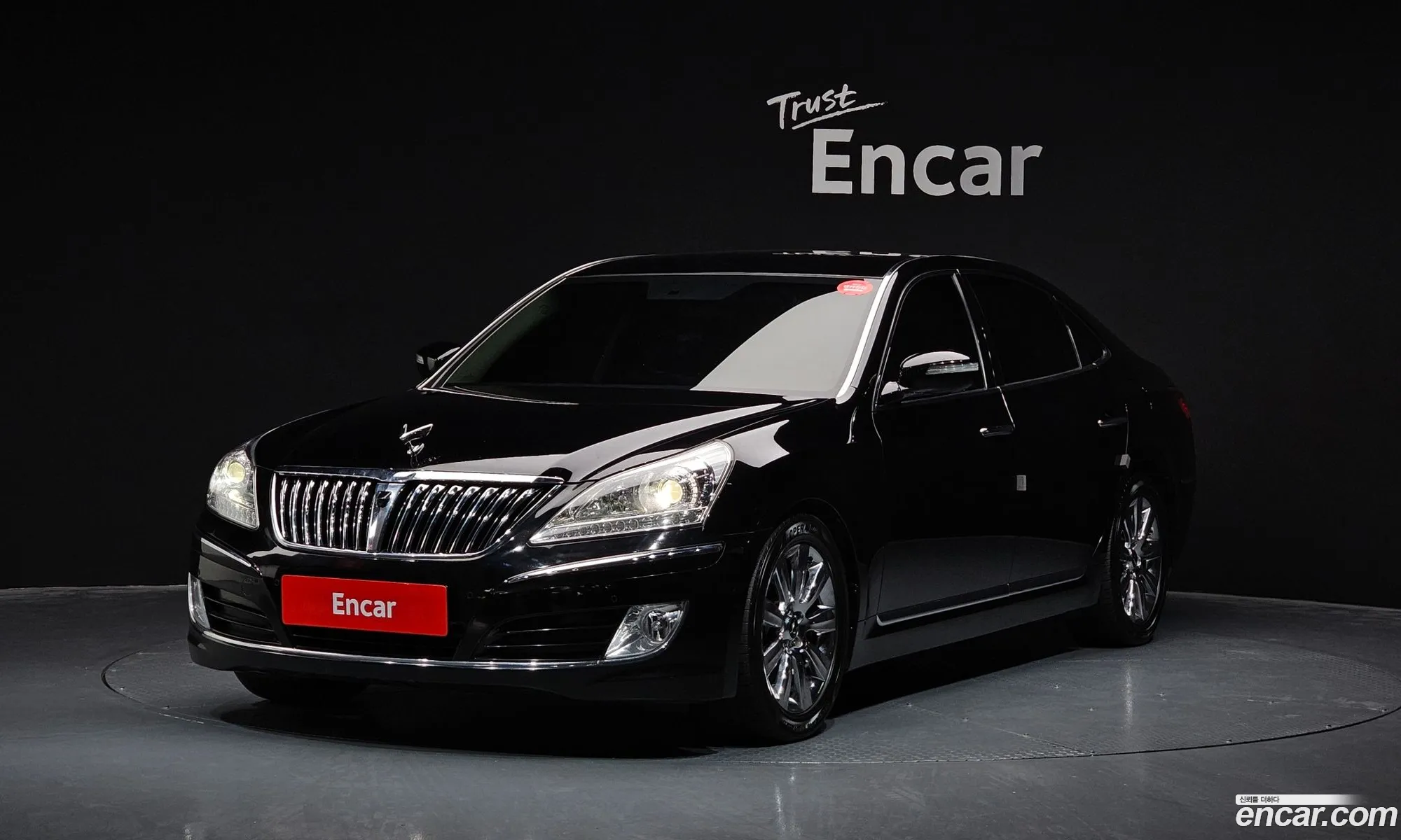 Equus New Vs380 Luxury - фотография 1041093