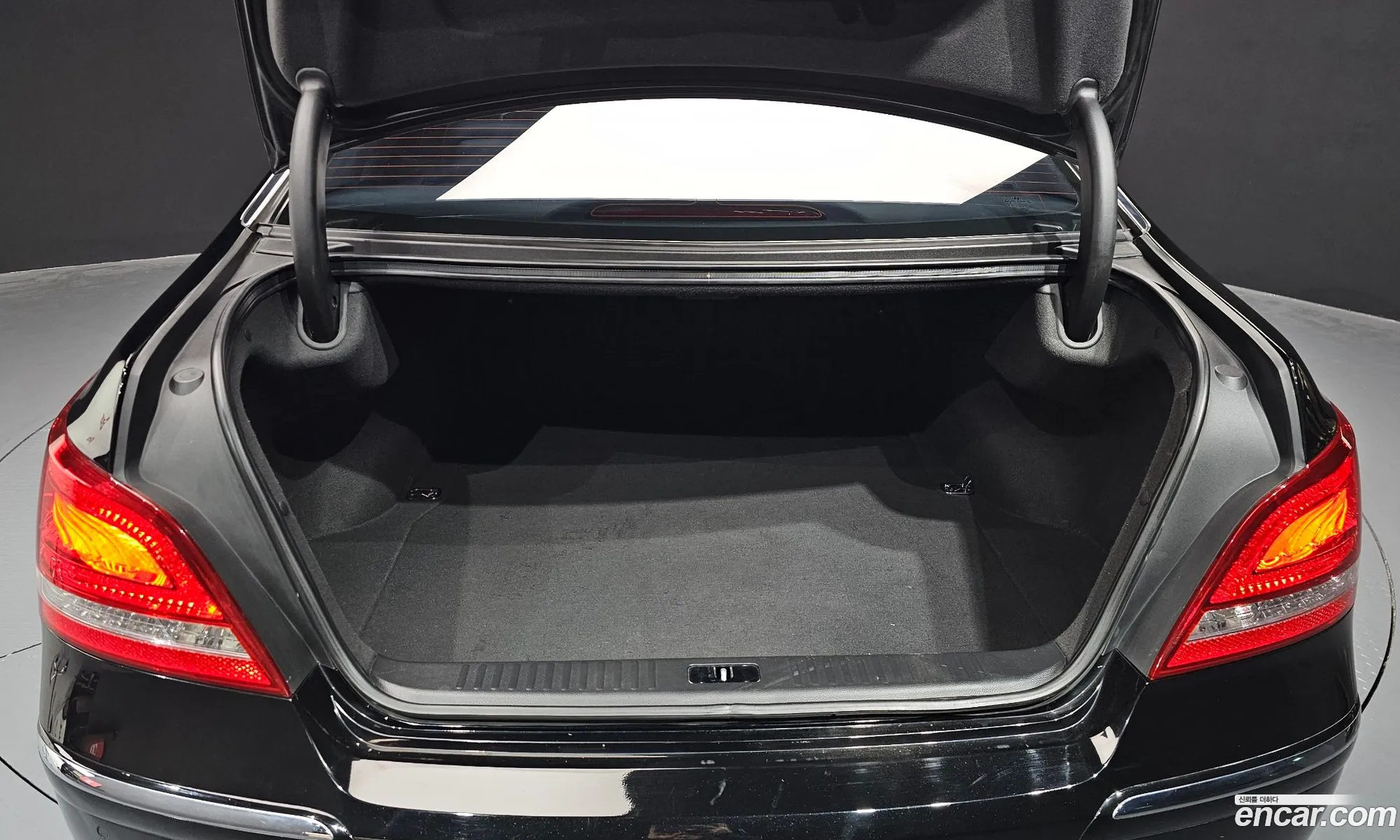 Equus New Vs380 Luxury - фотография 1041094