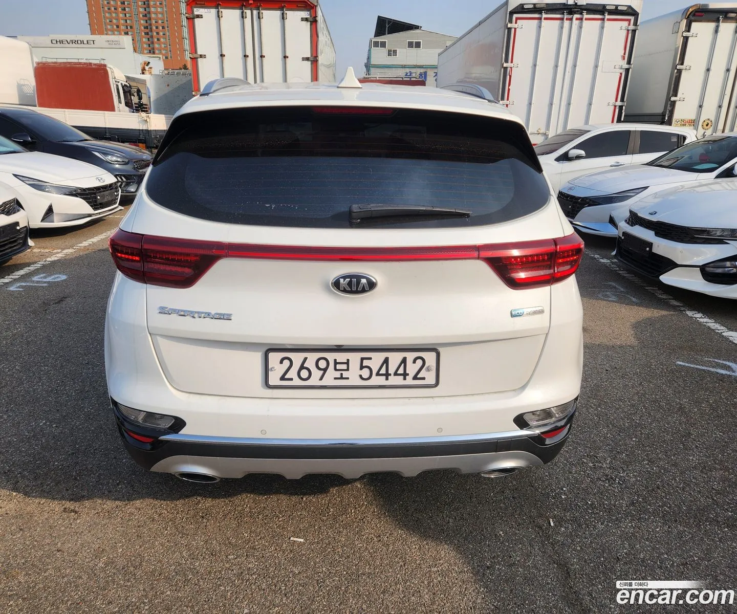 Korex Auto Trade - фотография 11789000