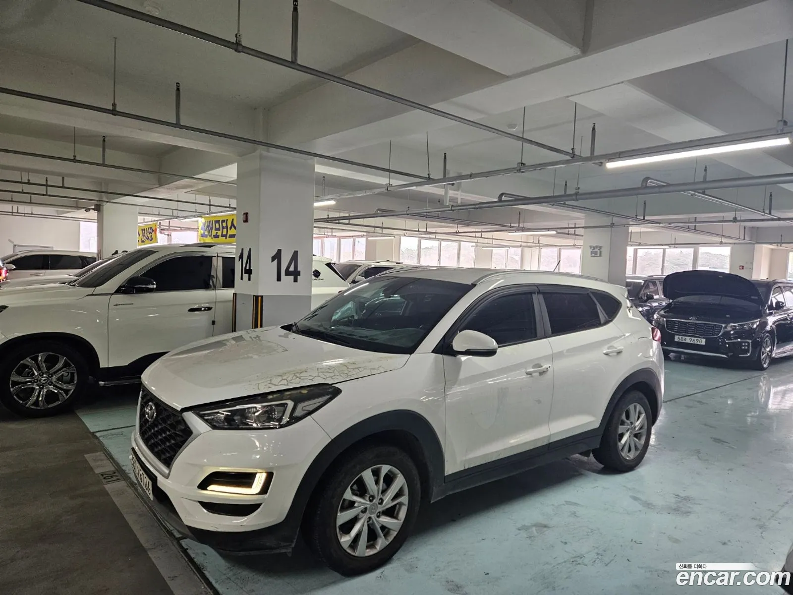 Korex Auto Trade - фотография 16929345
