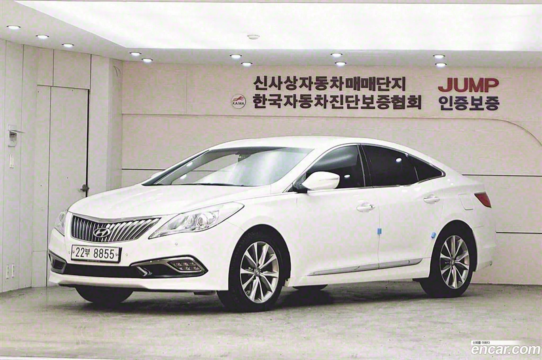 Grandeur Hg Hg300 Premium - фотография 1437804