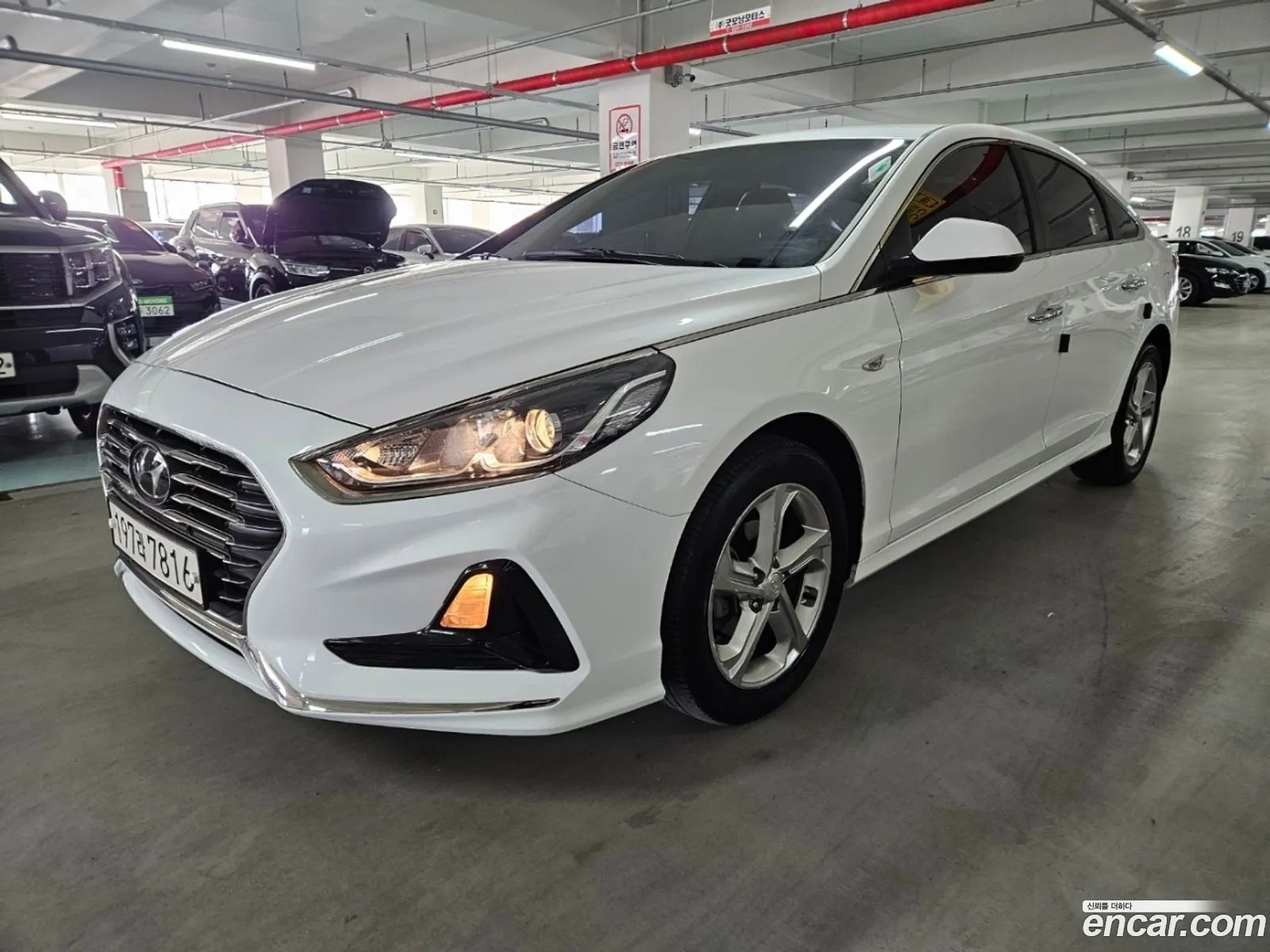 Sonata New Rise Lpi Style - фотография 1268327