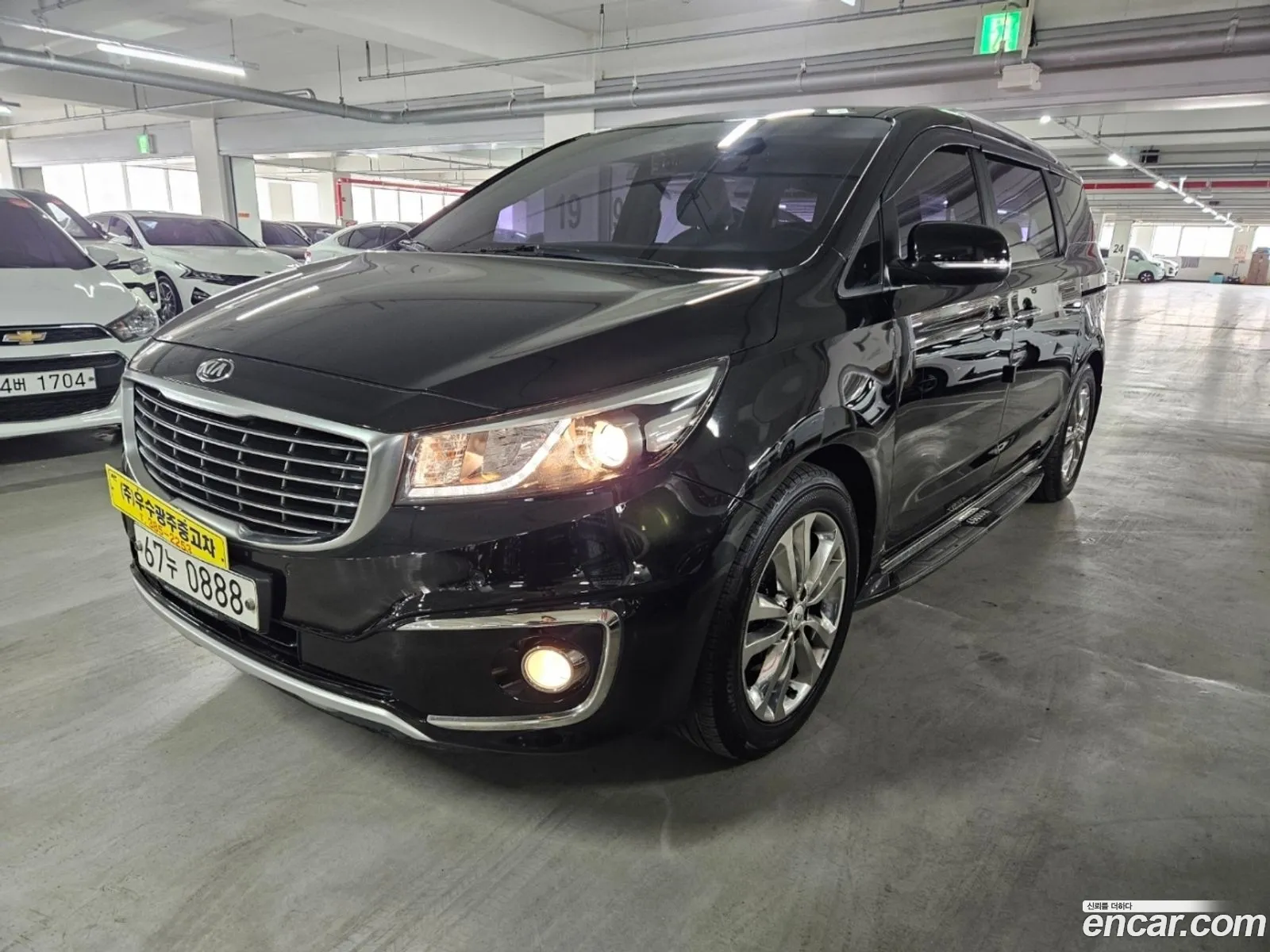 All New Carnival 9 -Seater Prestige - фотография 117765