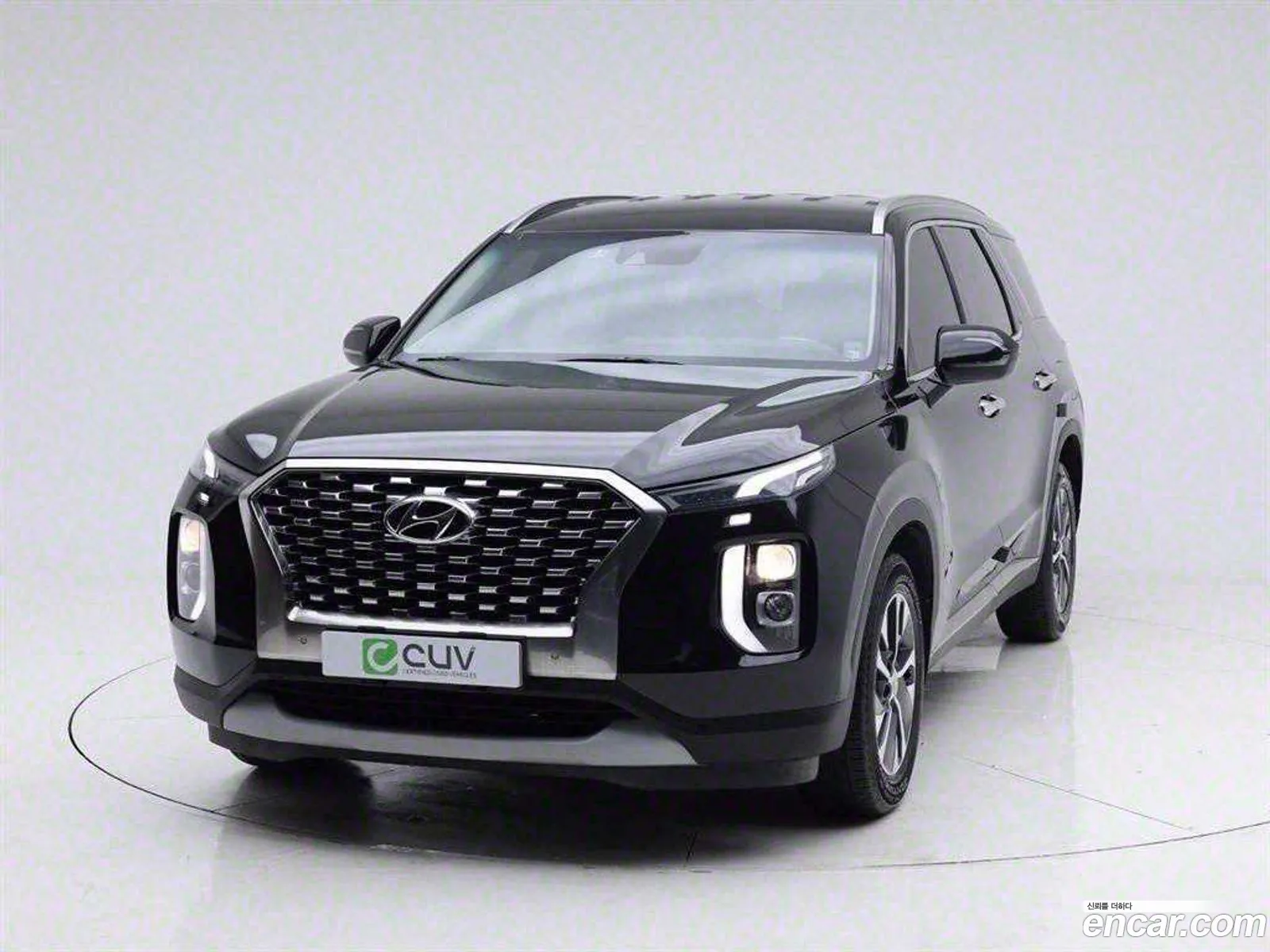 Palisade Gasoline 38 2Wd Exclusive - фотография 998244