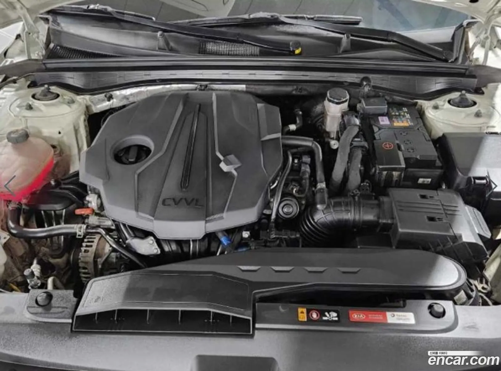 Korex Auto Trade - фотография 11256597