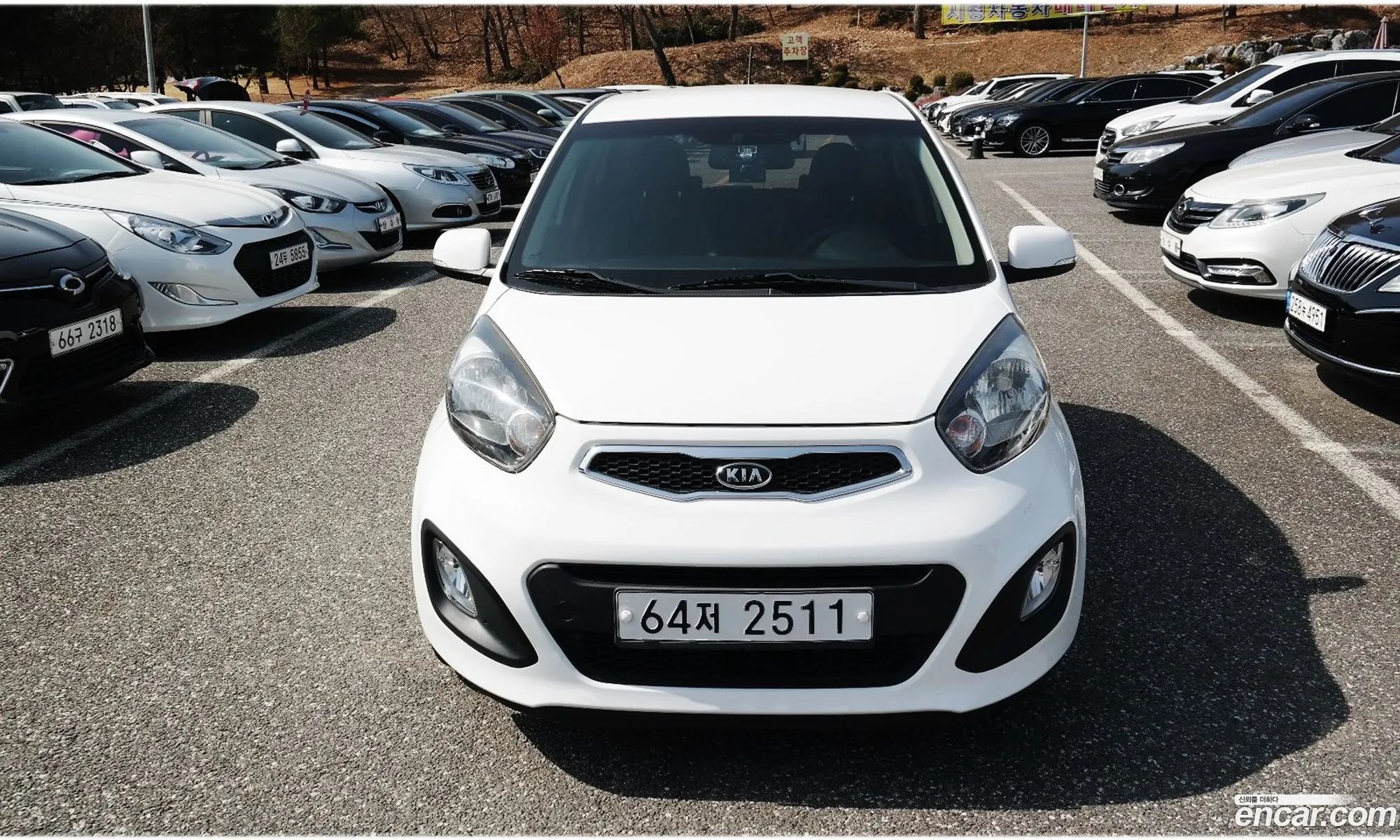 Korex Auto Trade - фотография 11264445