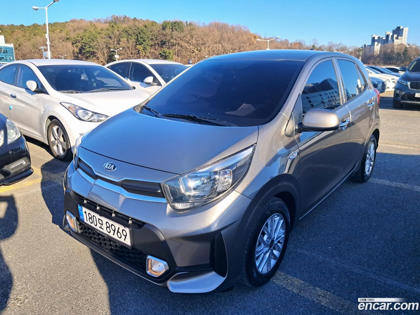 Korex Auto Trade - фотография 11264499