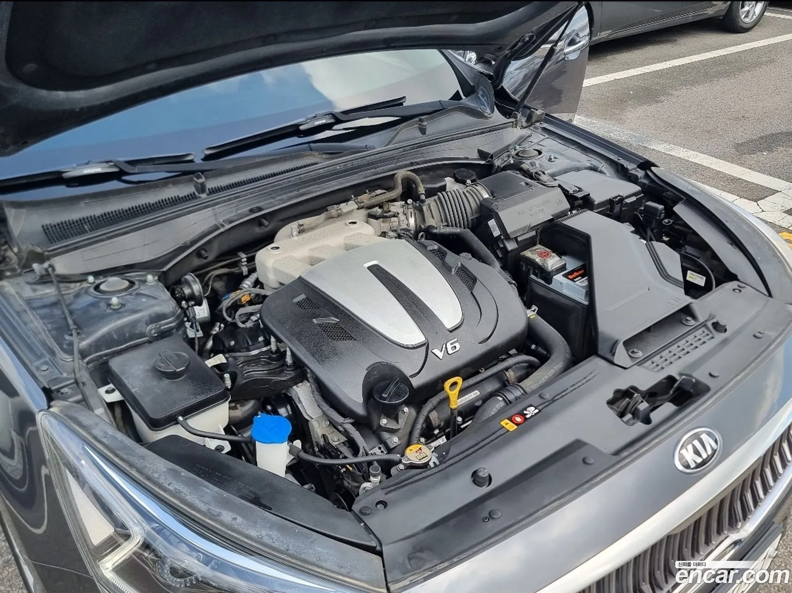 Korex Auto Trade - фотография 11237598