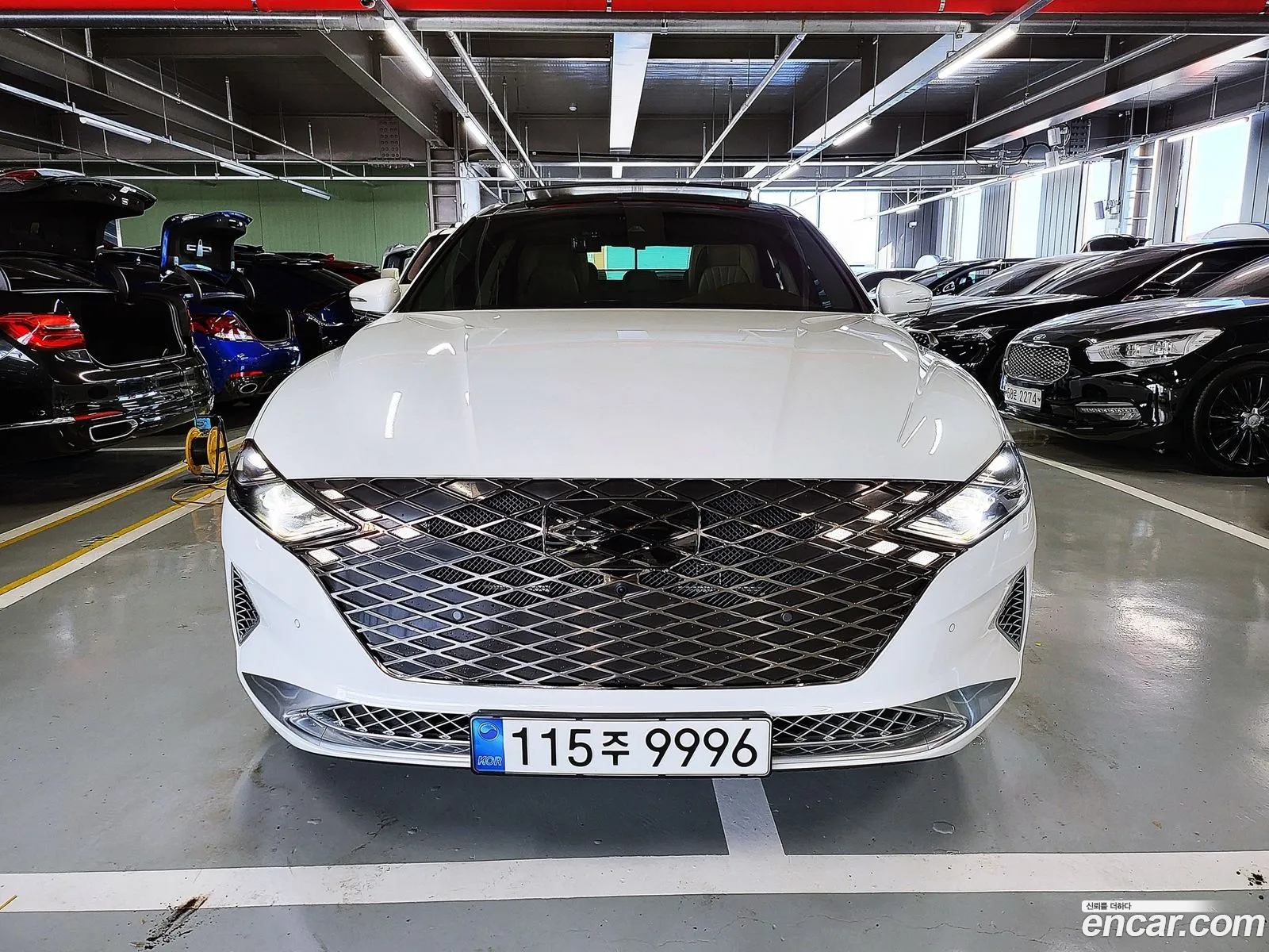 Korex Auto Trade - фотография 13233437