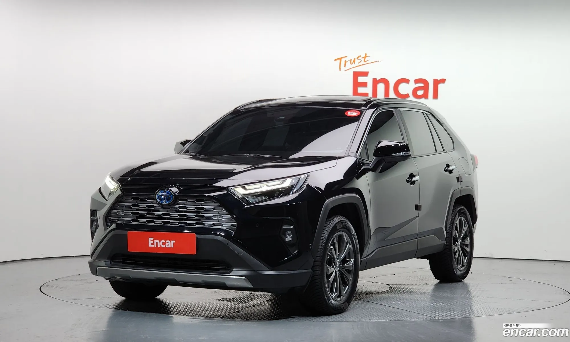 Rav4 5Th Generation 25 4Wd Hybrid Ltd - фотография 3585119