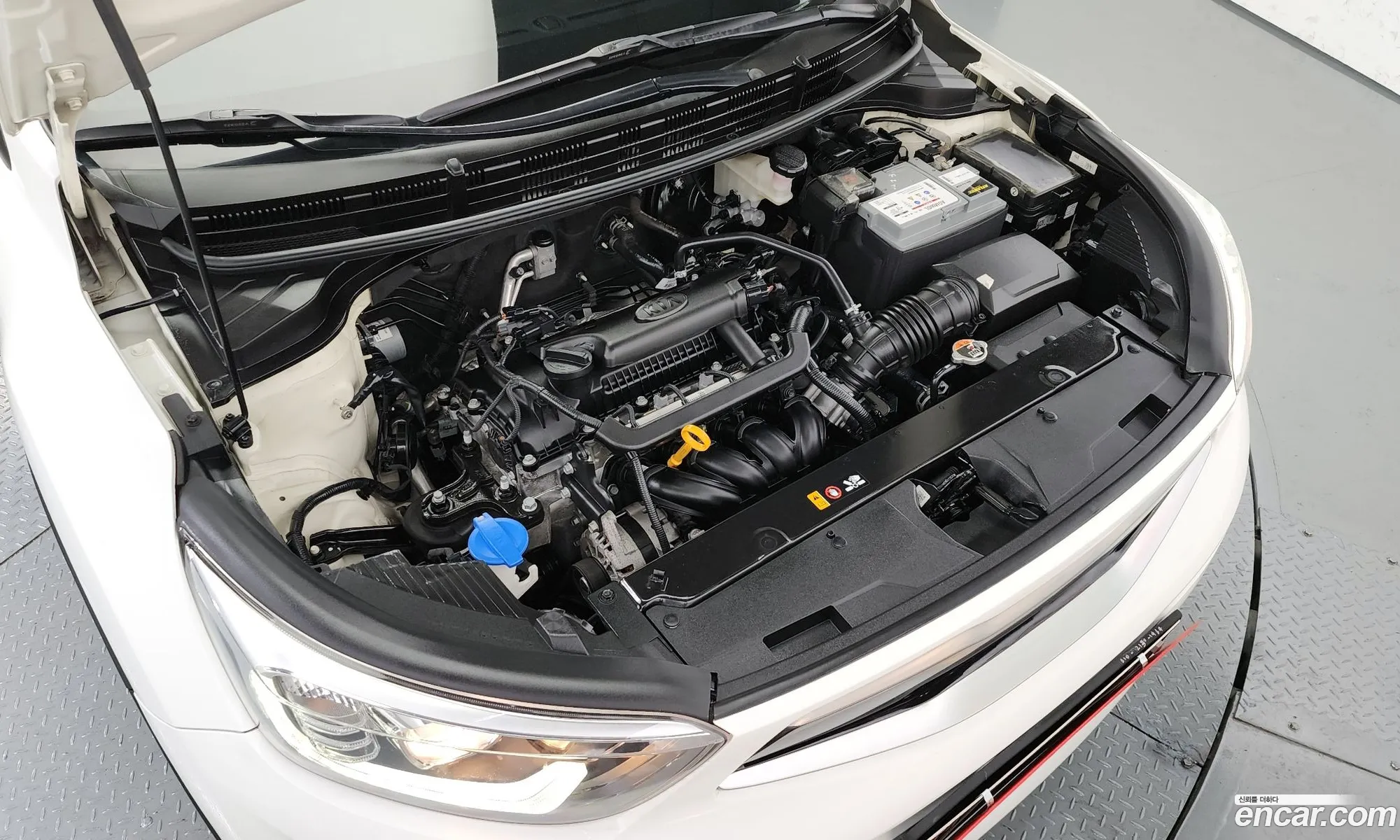 Korex Auto Trade - фотография 11941787