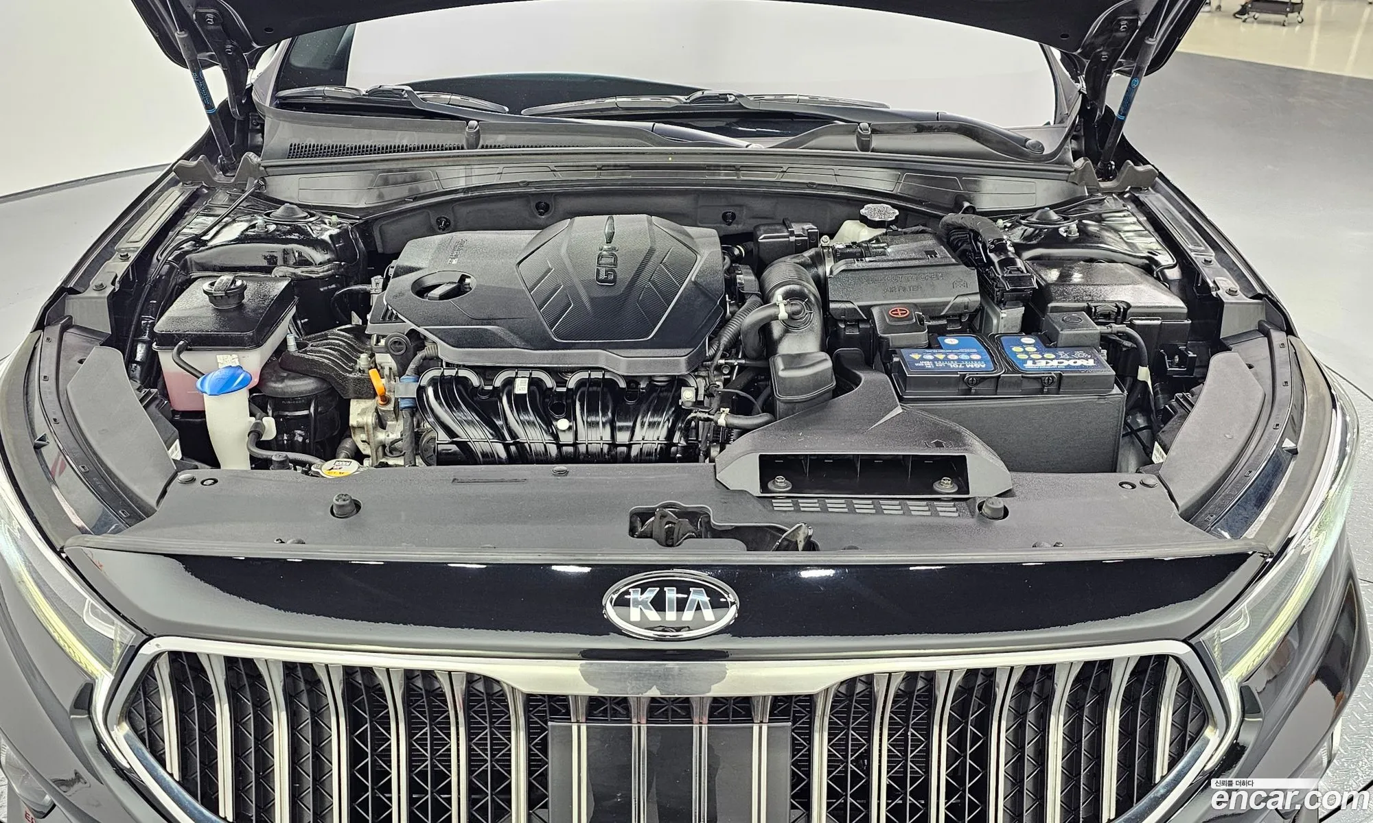 Korex Auto Trade - фотография 12576607