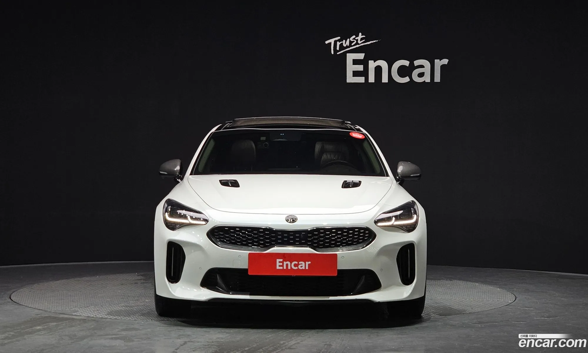 Korex Auto Trade - фотография 11335969