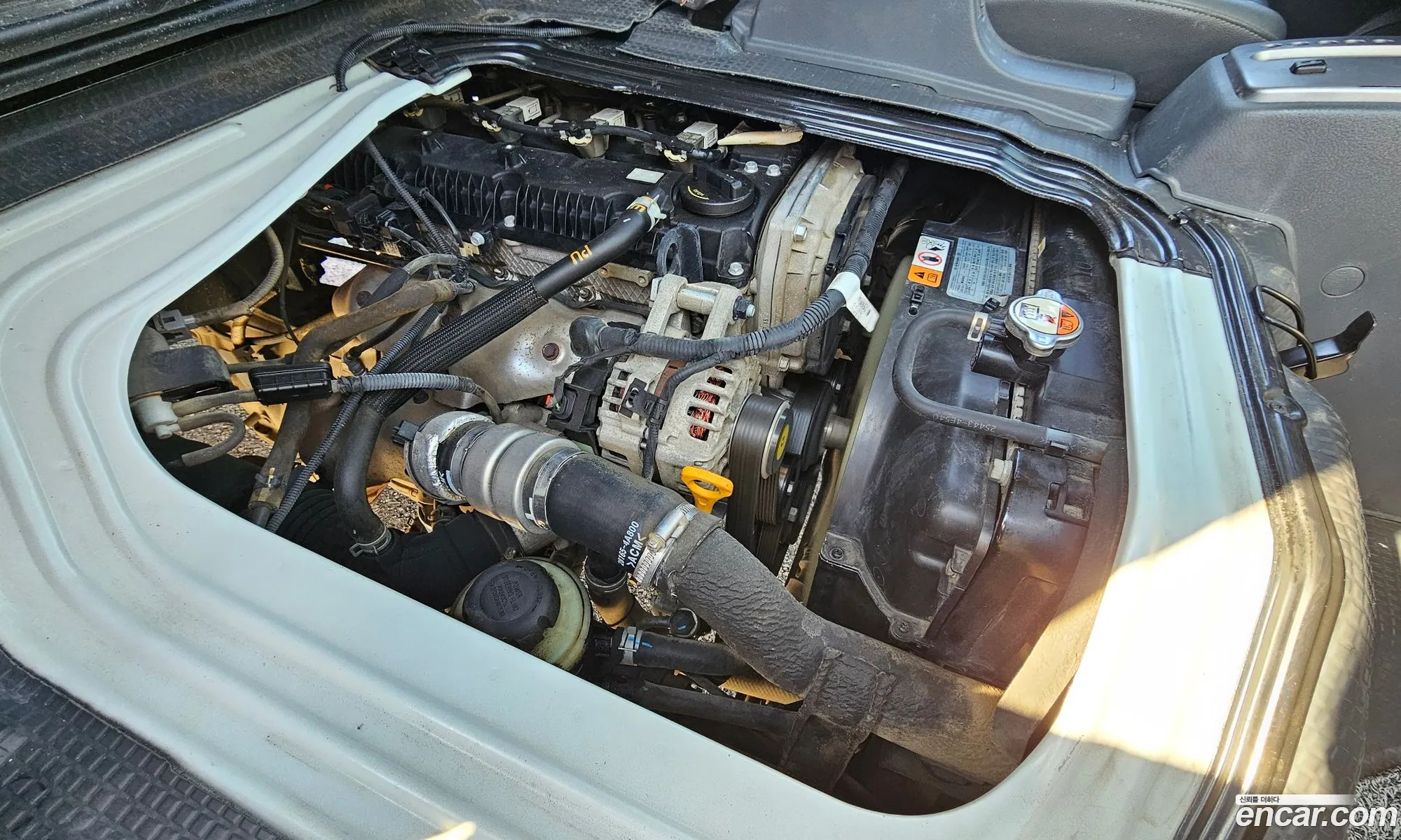 Korex Auto Trade - фотография 11112446