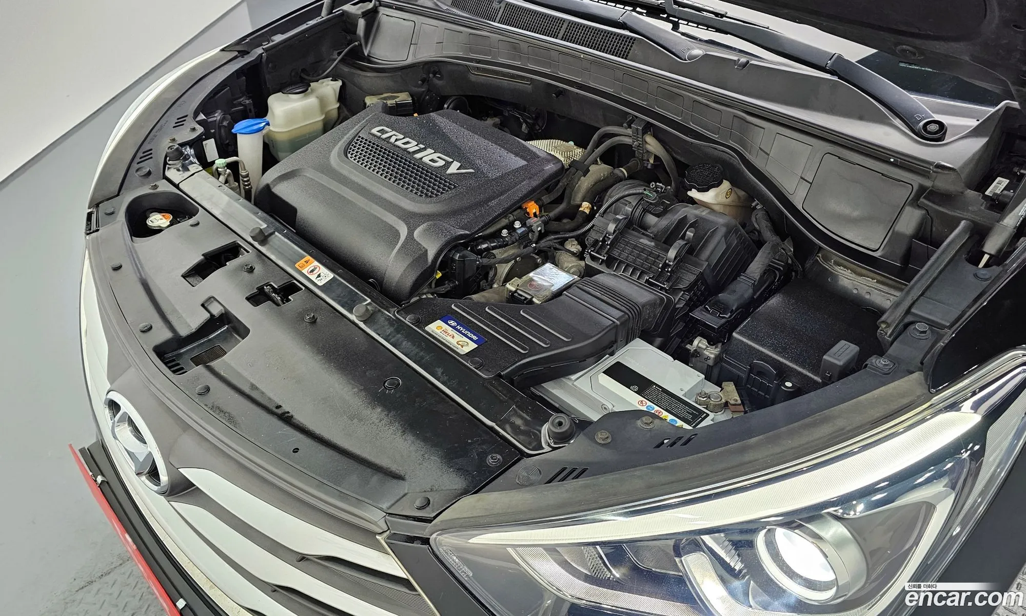 Korex Auto Trade - фотография 943815
