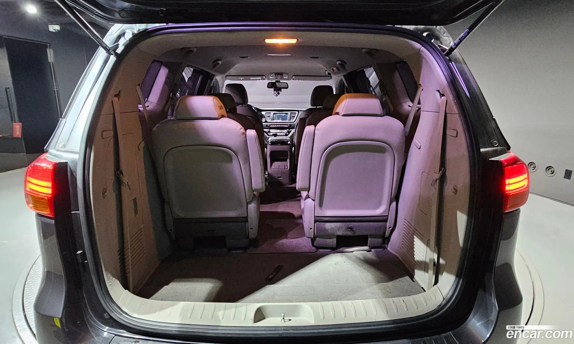 All New Carnival 9 -Seater Prestige - фотография 946072
