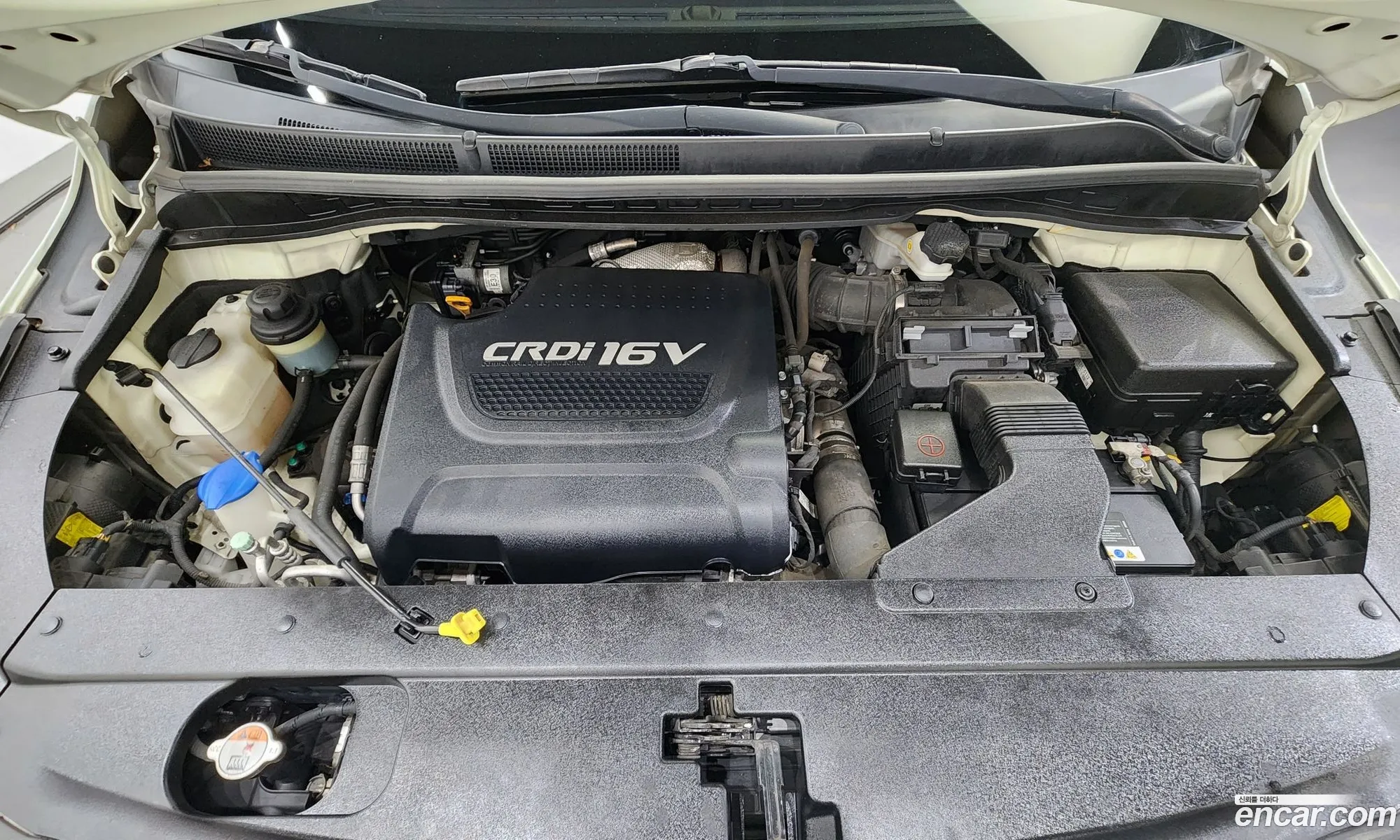 Korex Auto Trade - фотография 12649205