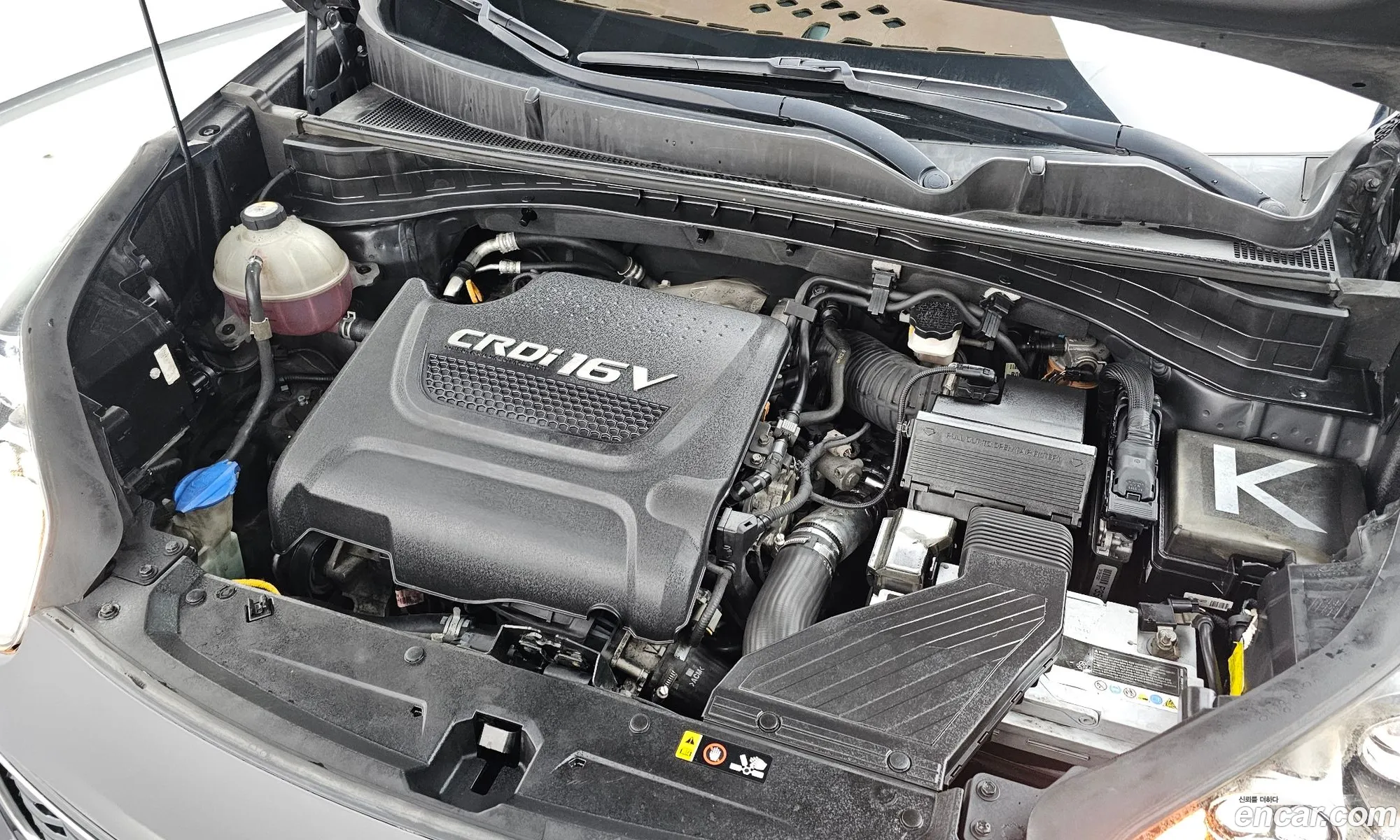 Korex Auto Trade - фотография 956076