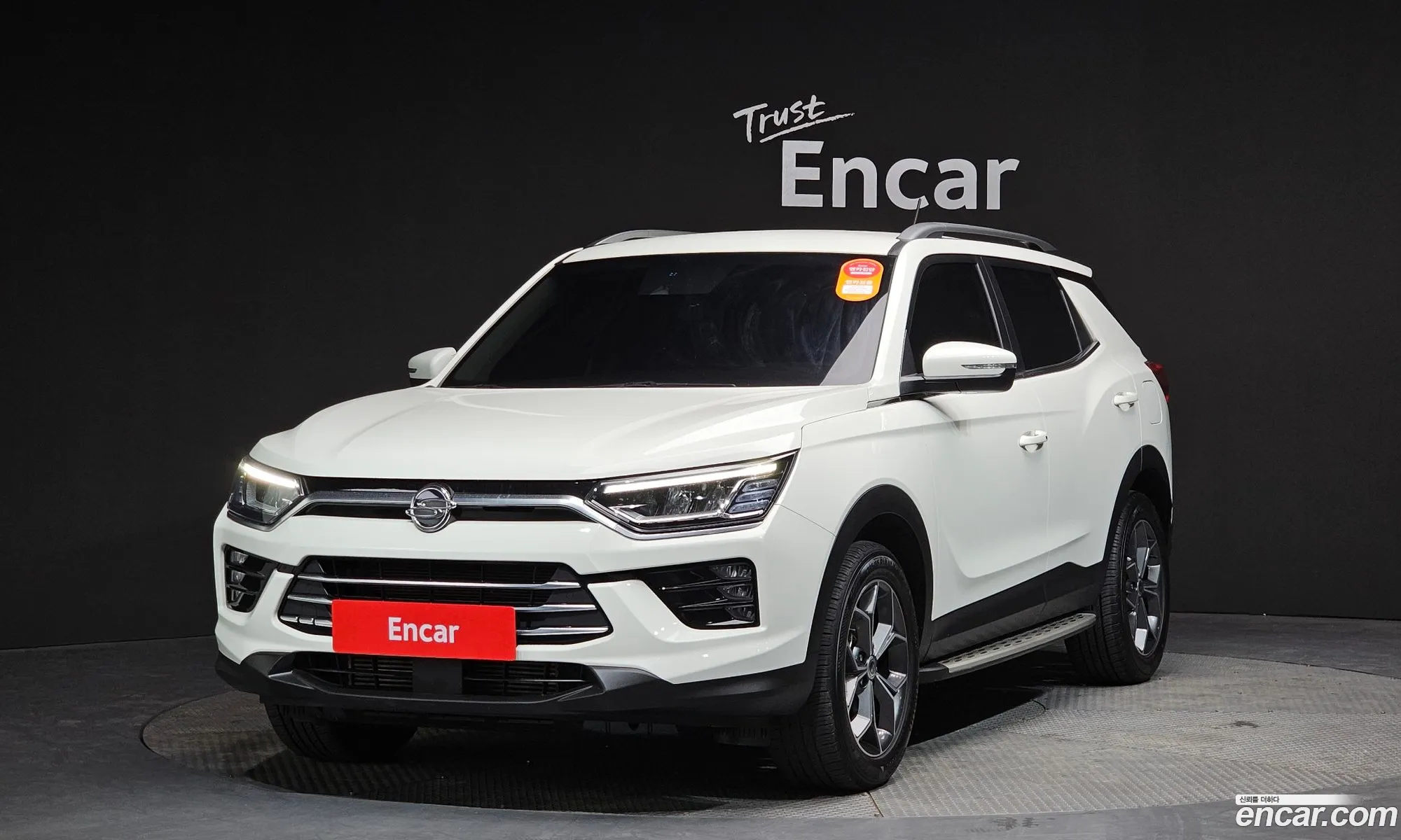 Beauty Pool Korando Gasoline 15 2Wd C5 Plus - фотография 18871554