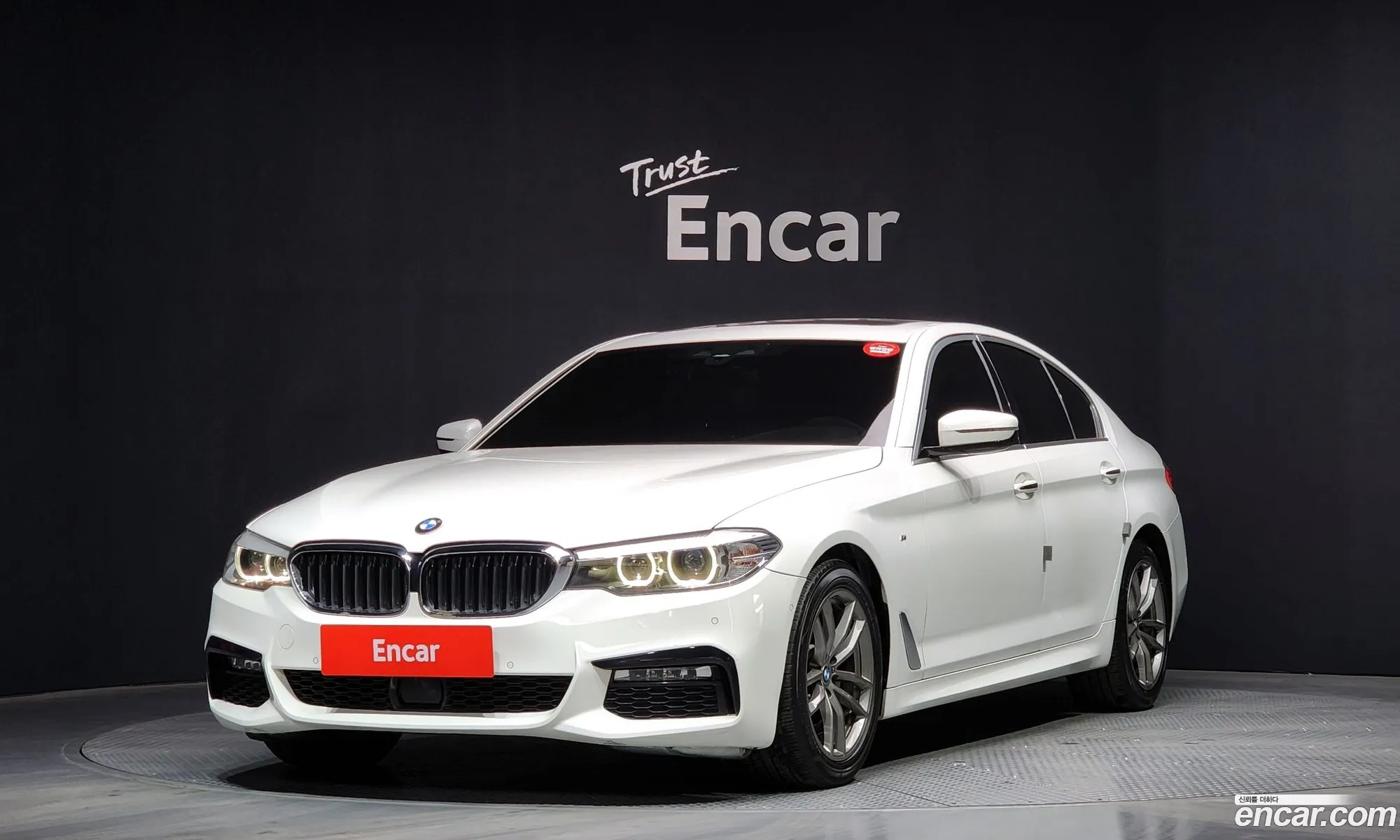 5 Series G30 520D M Sports Special Edition - фотография 2399905